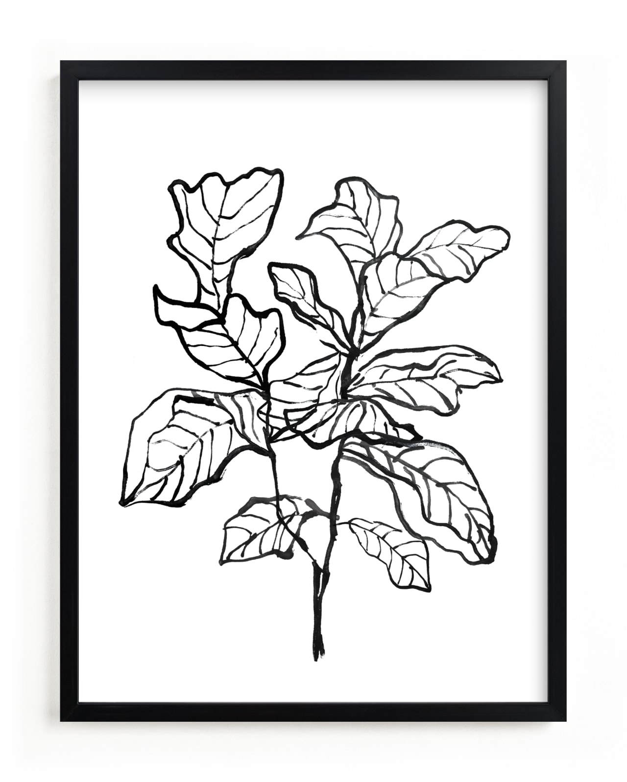 "Fiddle-leaf fig tree 1" - Limited Edition Art Print by Cass Loh in beautiful frame options and a variety of sizes.