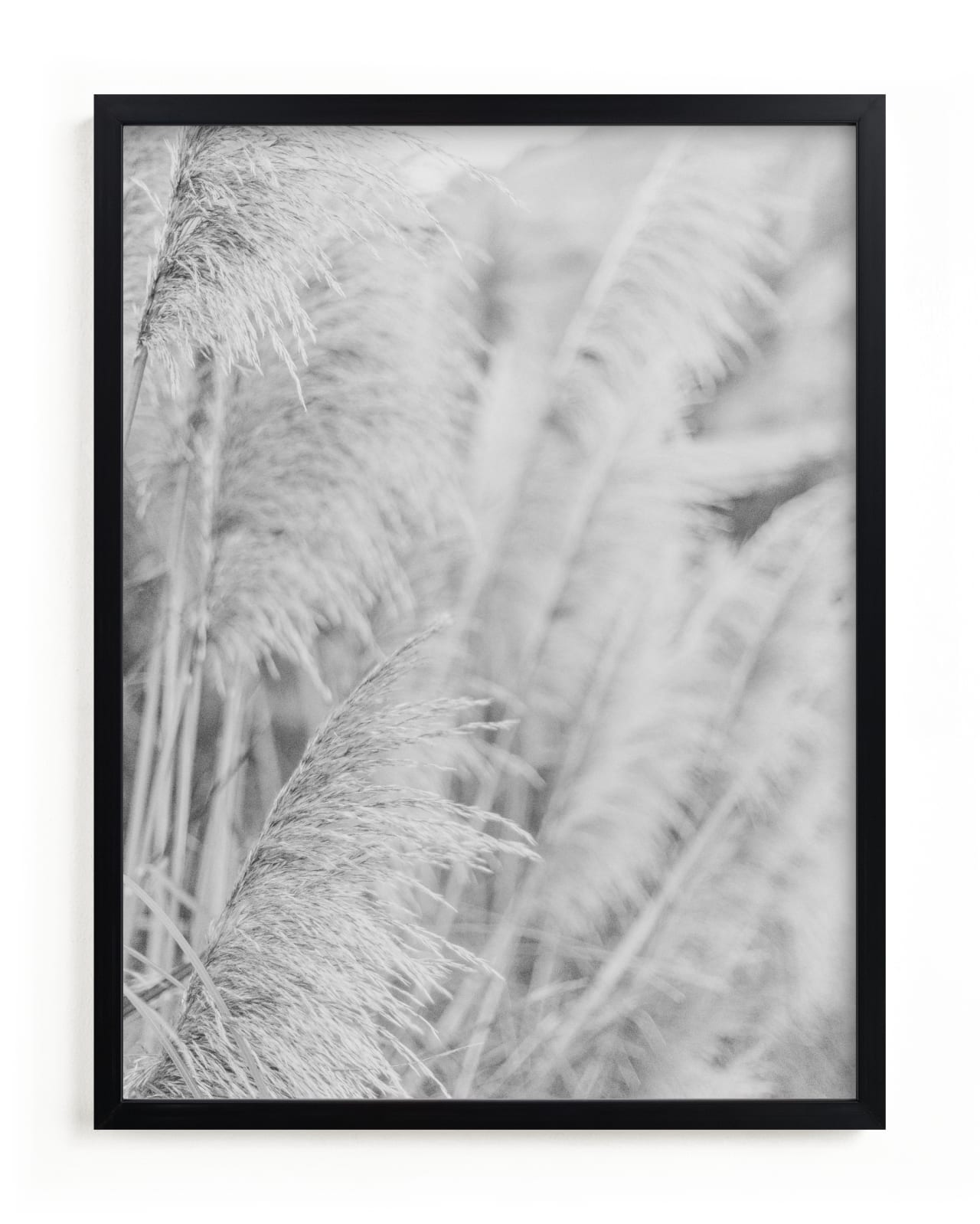 "Gossamer" - Limited Edition Art Print by Lindsay Ferraris Photography in beautiful frame options and a variety of sizes.