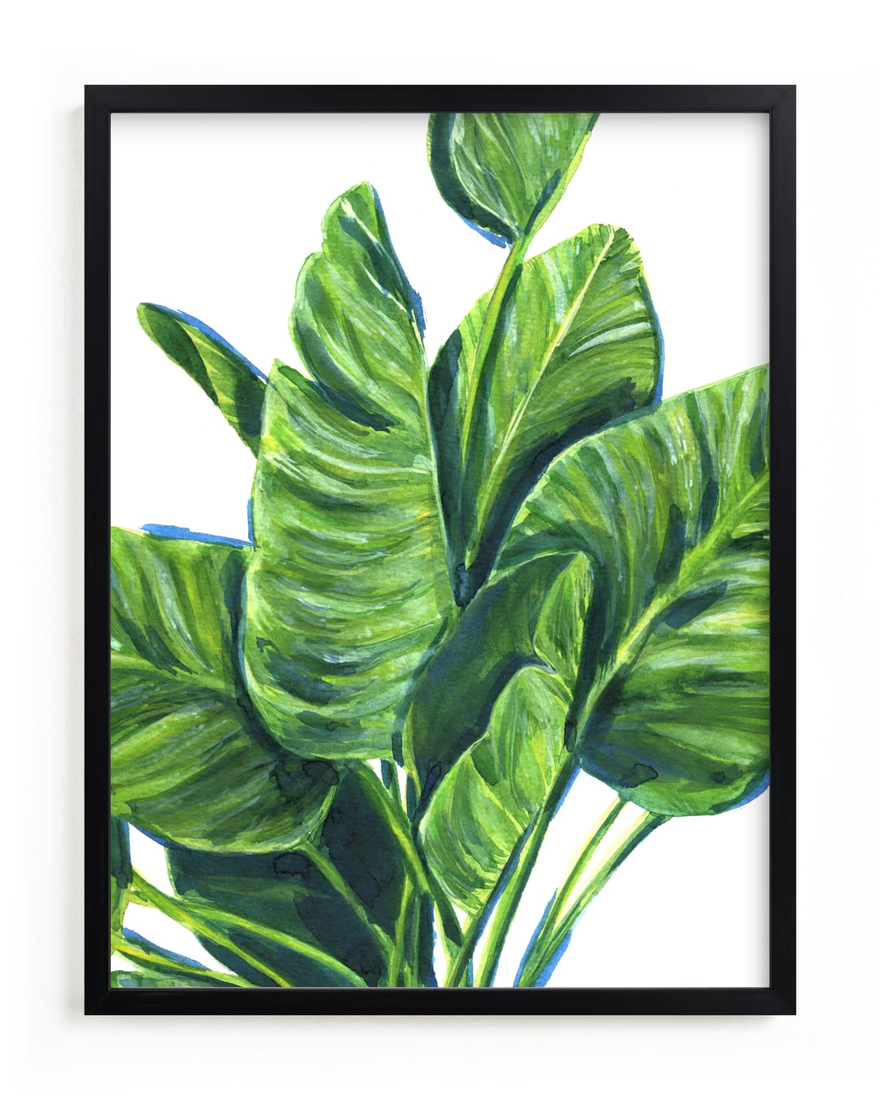 "Tropical plants II" - Limited Edition Art Print by Alexandra Dzh in beautiful frame options and a variety of sizes.
