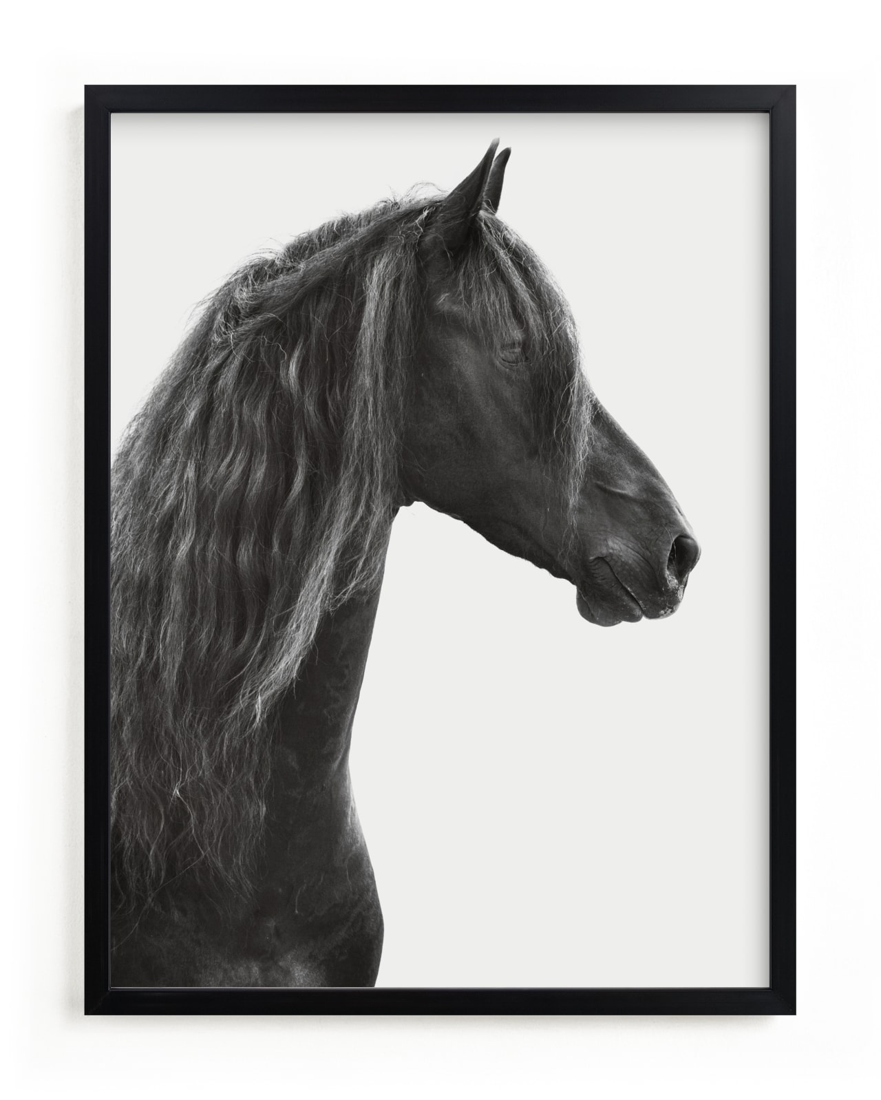 "Dark Horse" - Limited Edition Art Print by Irene Suchocki in beautiful frame options and a variety of sizes.