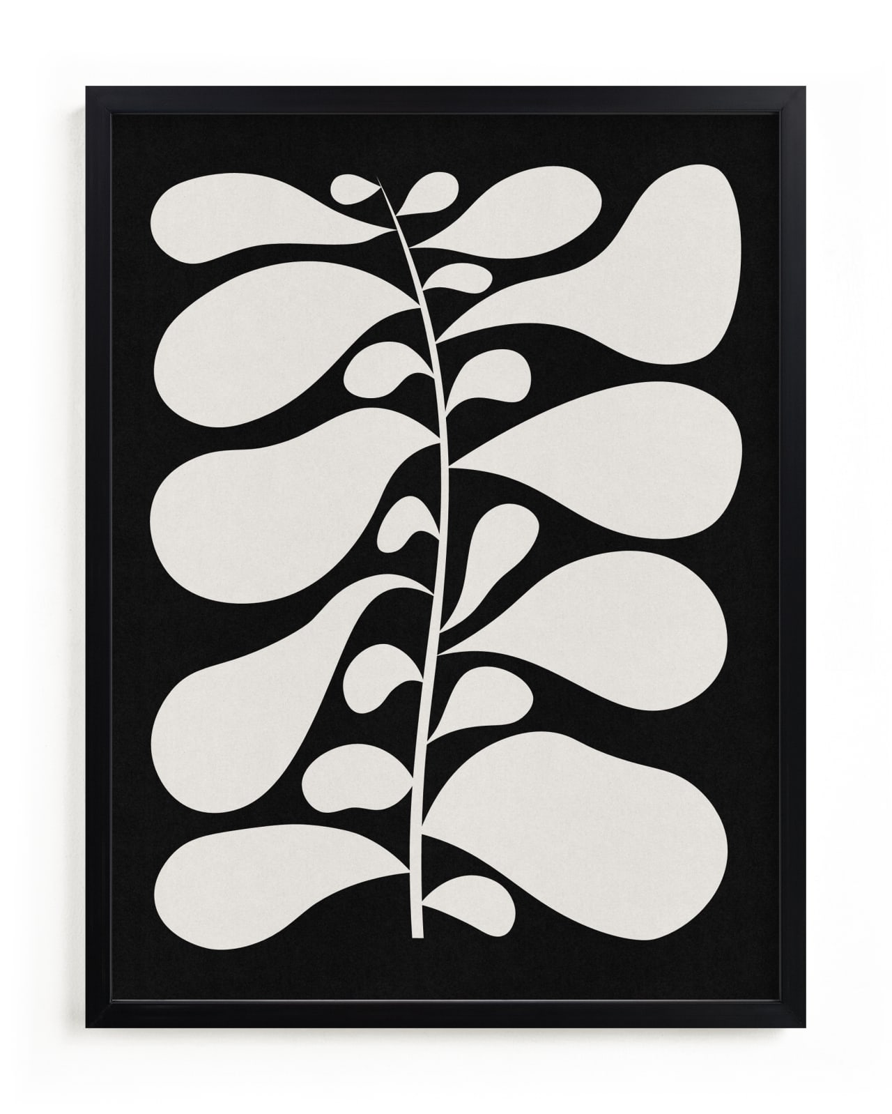 "Black Plant II" - Limited Edition Art Print by Alisa Galitsyna in beautiful frame options and a variety of sizes.