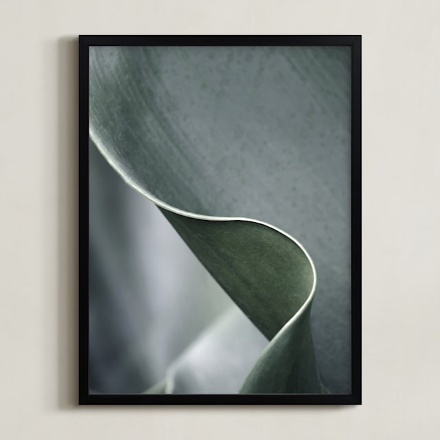 Botanic 3