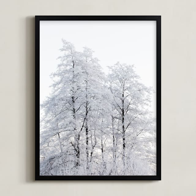 Winter nature