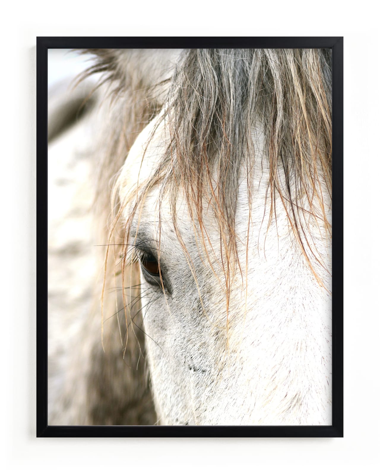 "Wild Horse Eye" - Limited Edition Art Print by Michelle Detering in beautiful frame options and a variety of sizes.