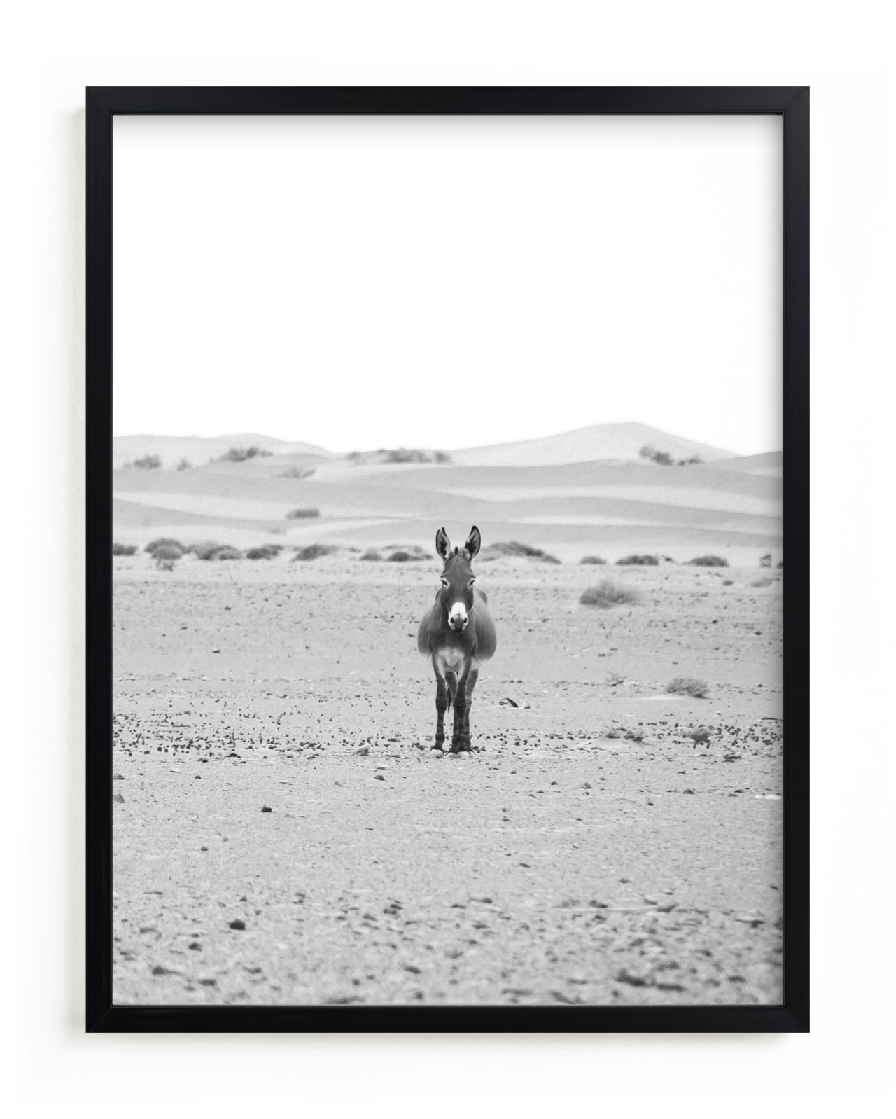 "I'm watching you" - Limited Edition Art Print by Claudia Orengo in beautiful frame options and a variety of sizes.