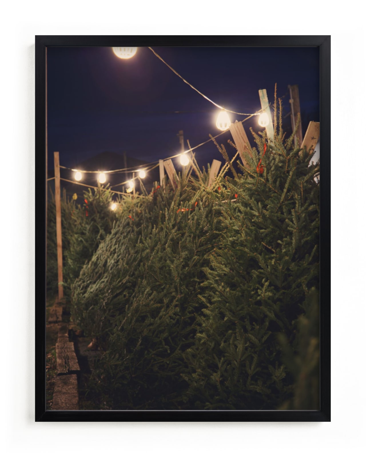 Lit Trees