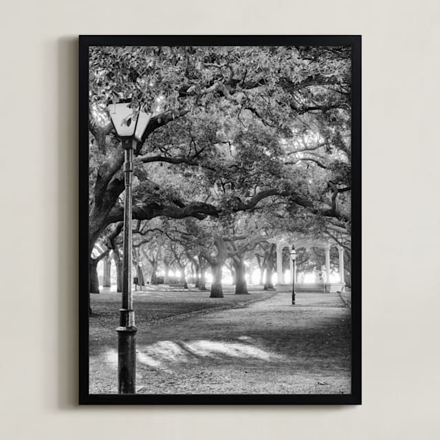 Park Dreams