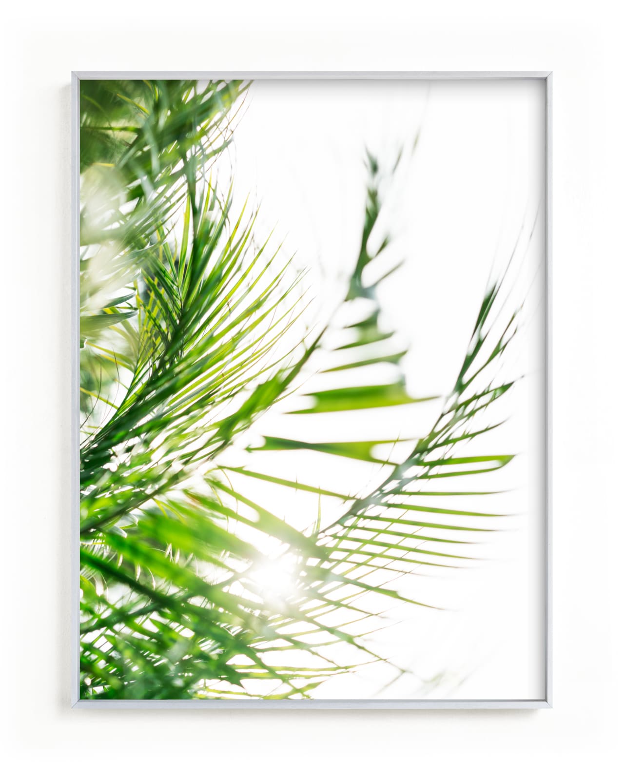 "Palm 2" - Limited Edition Art Print by Kamala Nahas in beautiful frame options and a variety of sizes.