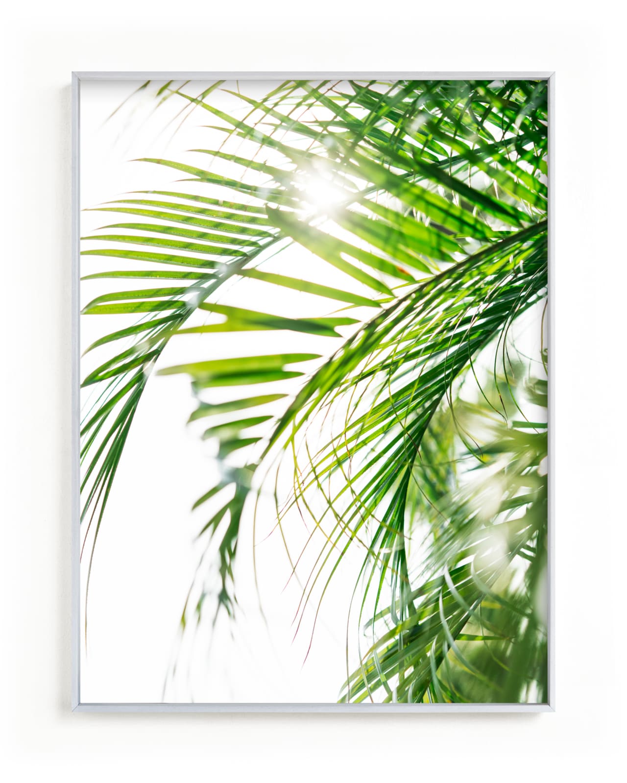"Palm 3" - Limited Edition Art Print by Kamala Nahas in beautiful frame options and a variety of sizes.