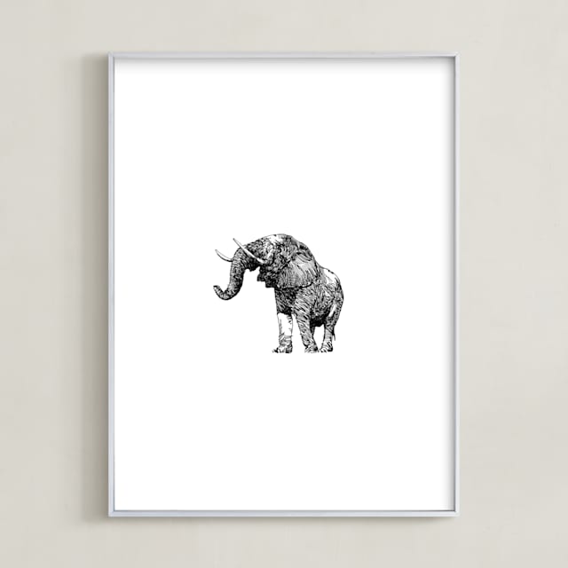 pachyderme