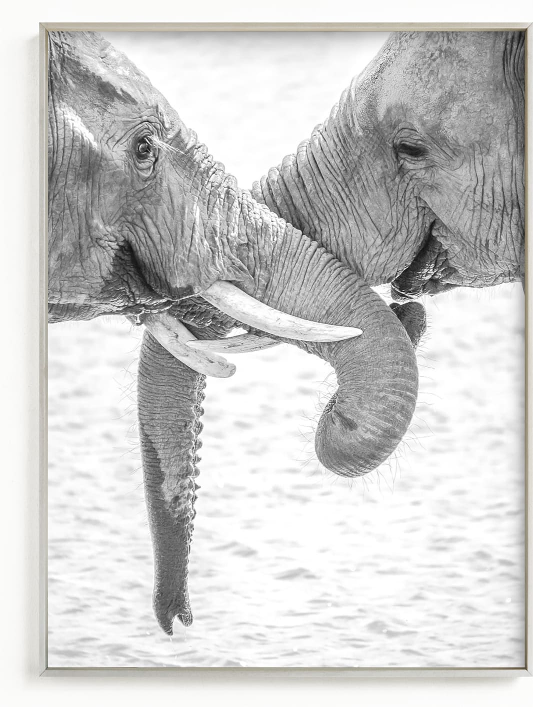 This is a black and white art by Jennifer Mckinnon Richman called Elephant Love.