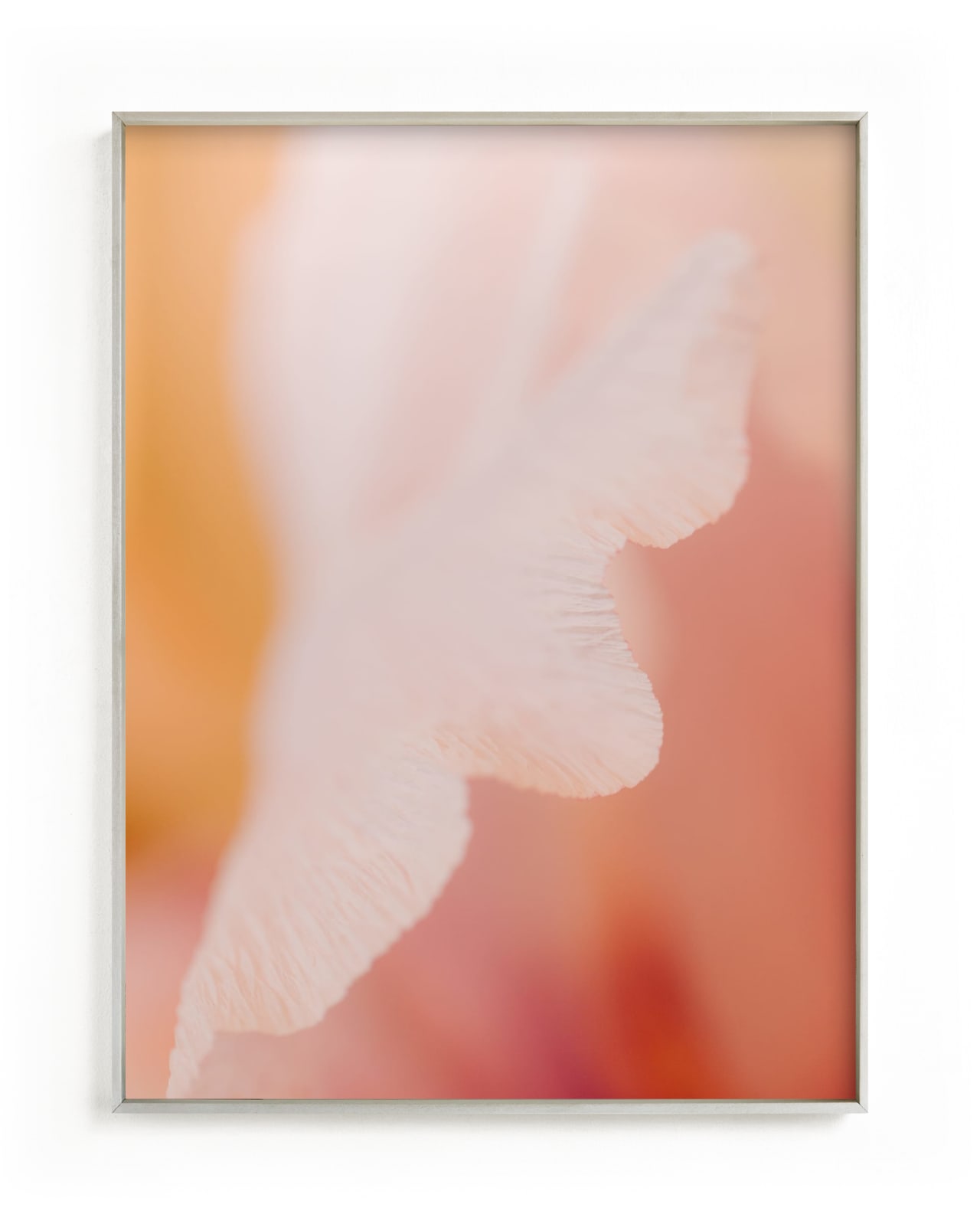 Illuminated Flora