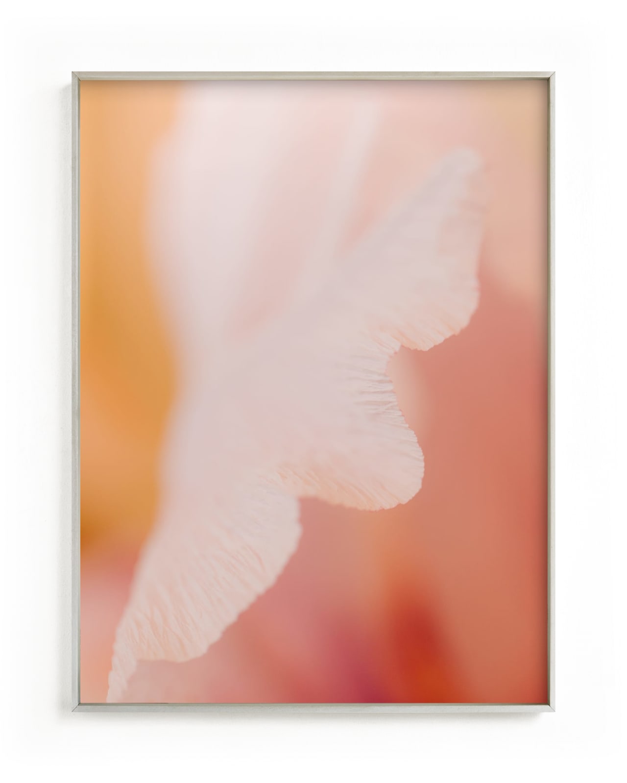 "Illuminated Flora" by Lindsay Ferraris Photography in beautiful frame options and a variety of sizes.