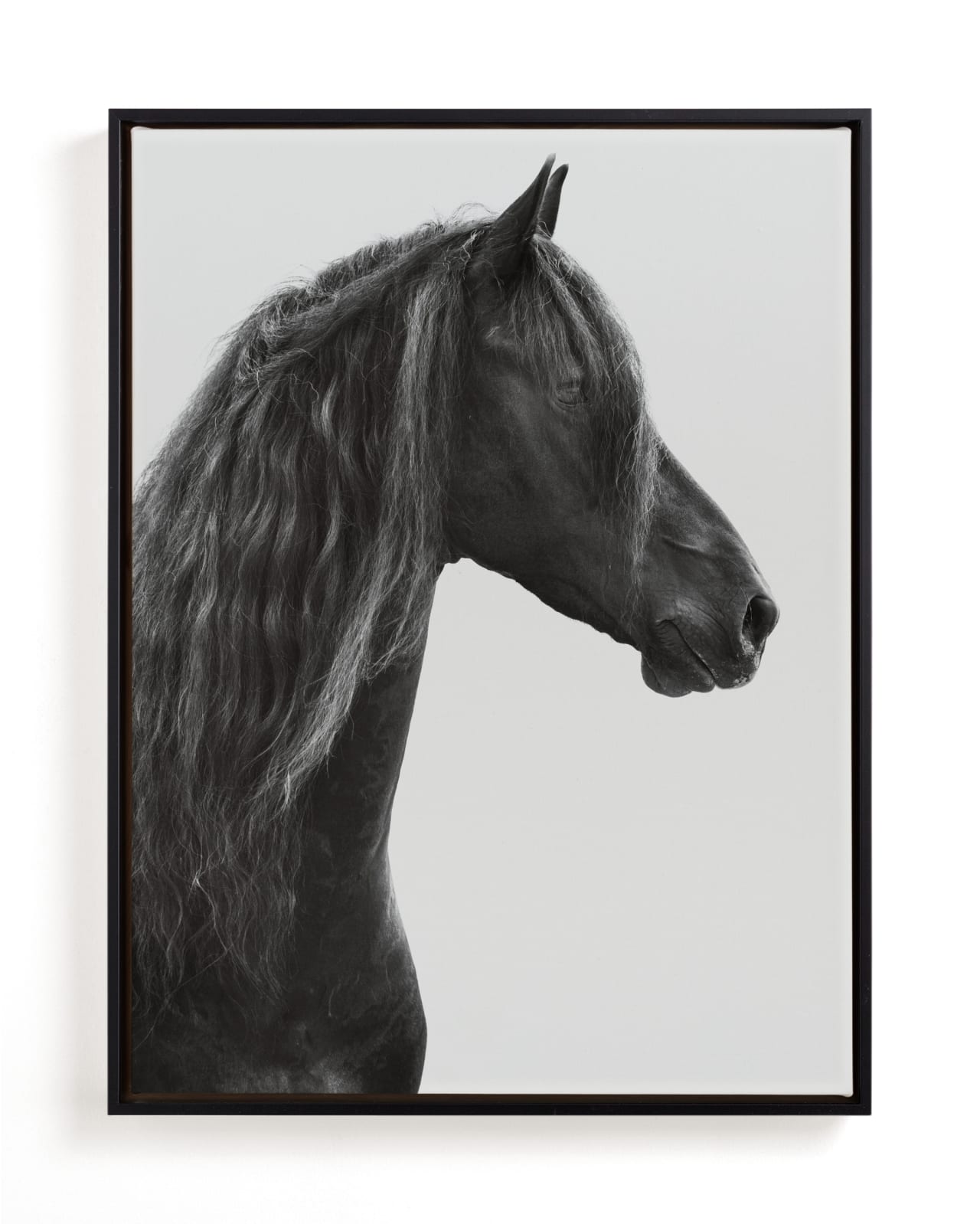 "Dark Horse" - Limited Edition Art Print by Irene Suchocki in beautiful frame options and a variety of sizes.