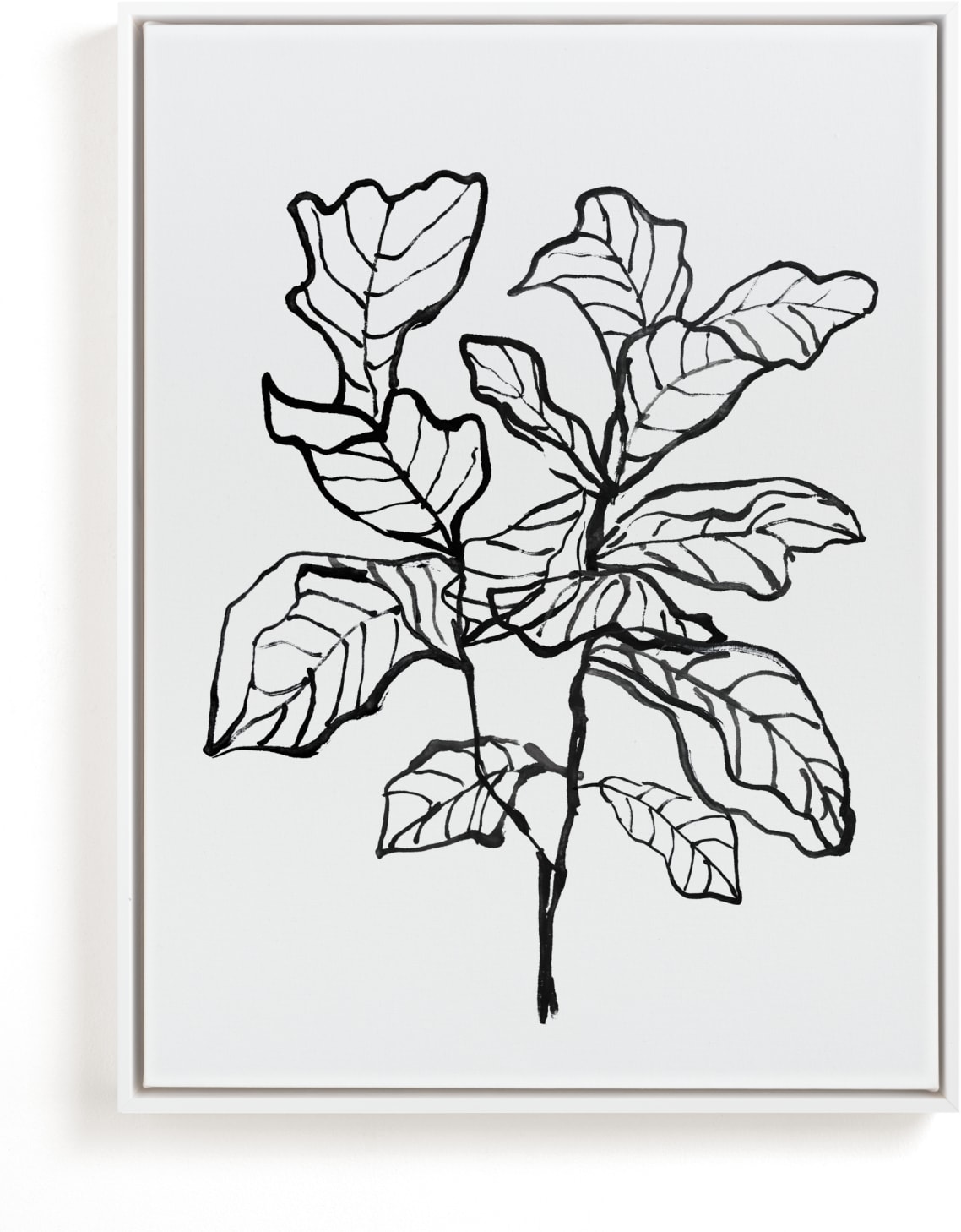 This is a black and white art by Cass Loh called Fiddle-leaf fig tree 1.
