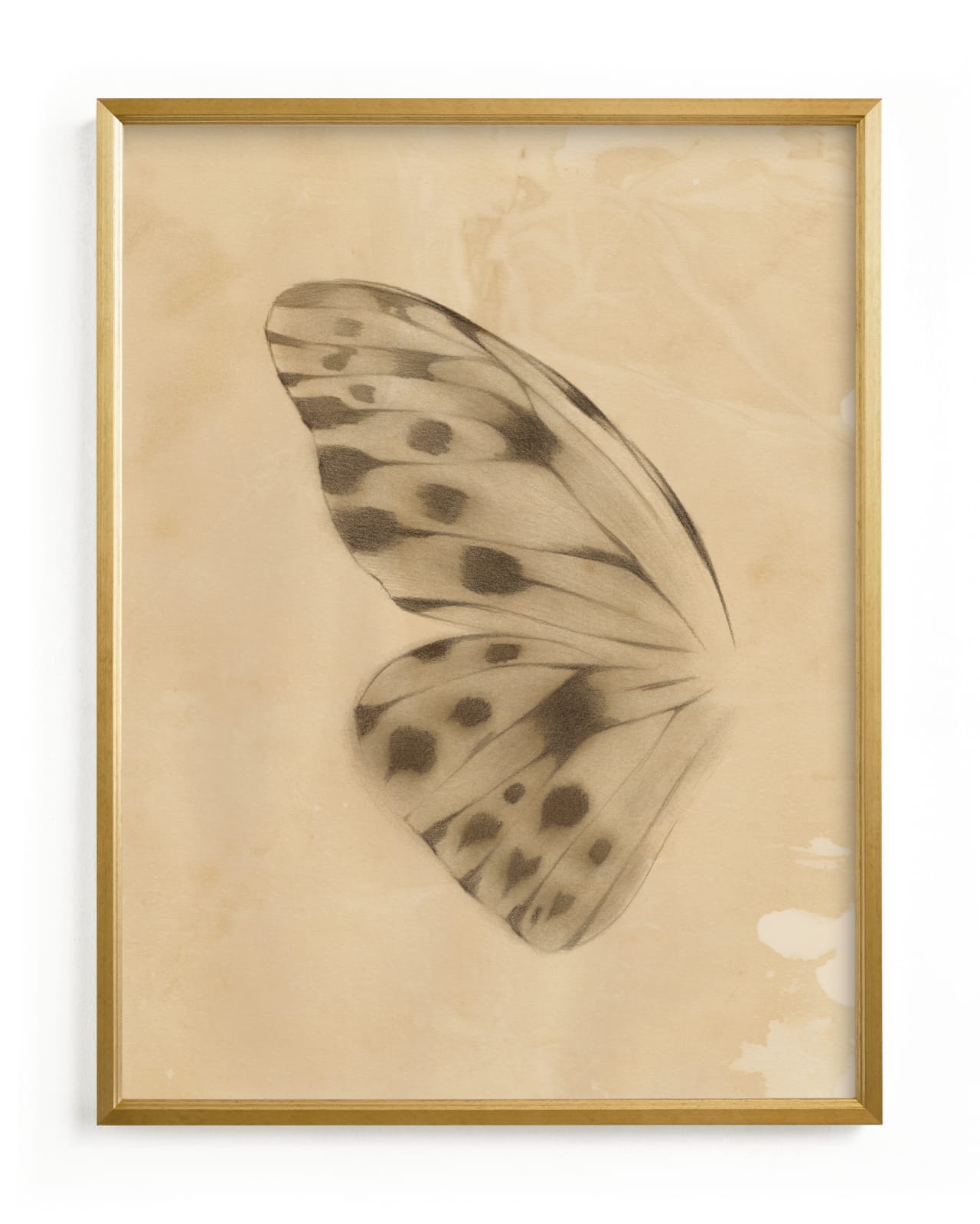 "Vintage Mariposa I" - Limited Edition Art Print by jinseikou in beautiful frame options and a variety of sizes.