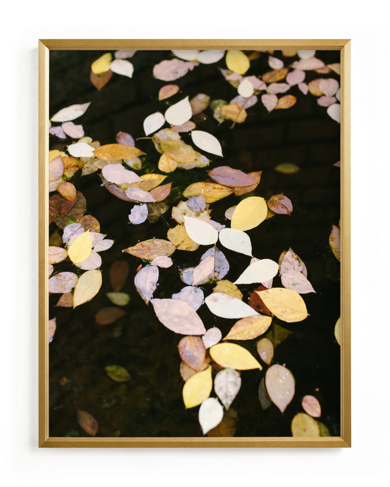 "Autumn Palette II" - Limited Edition Art Print by lulu and isabelle in beautiful frame options and a variety of sizes.