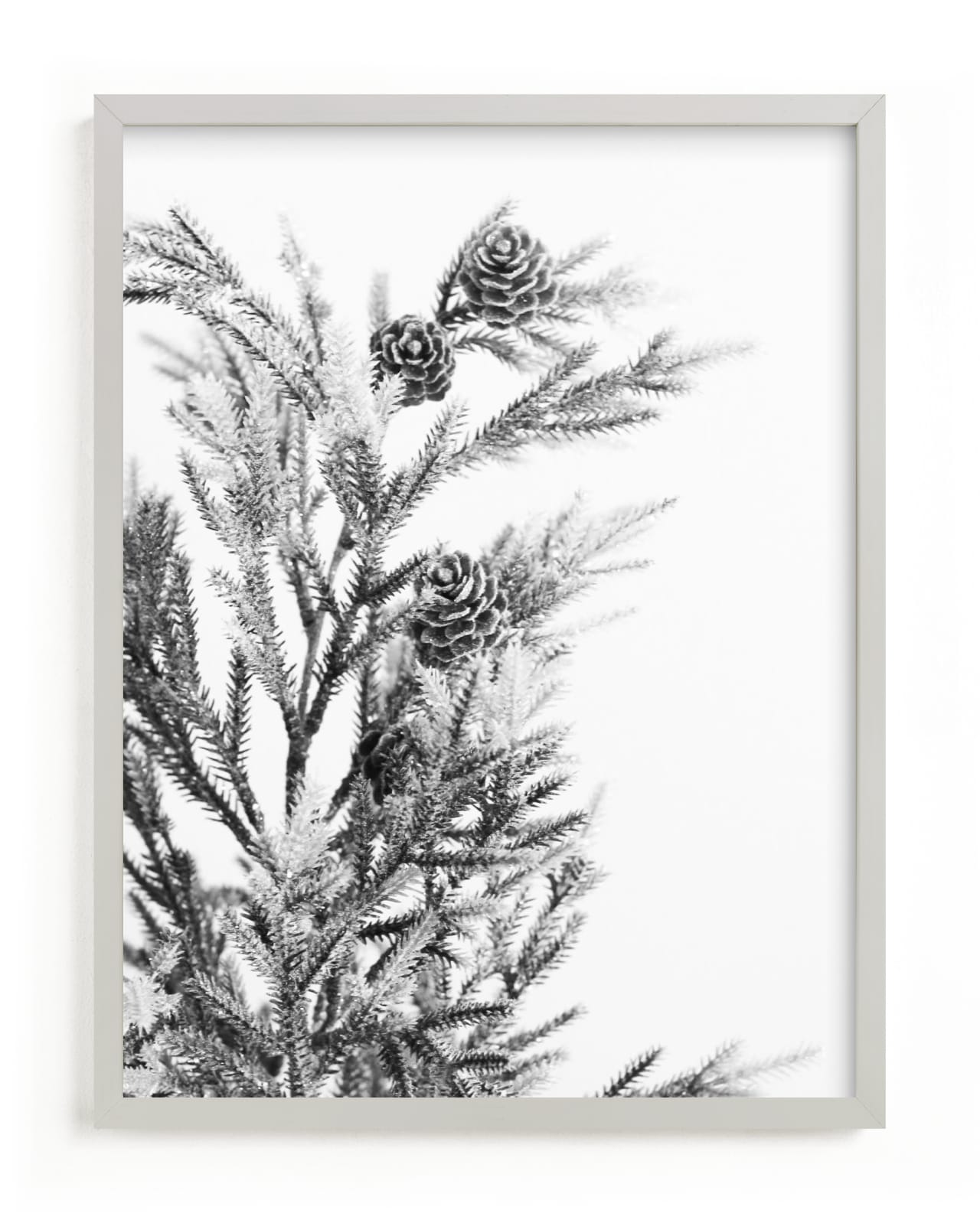 "wild green" - Limited Edition Art Print by Baumbirdy in beautiful frame options and a variety of sizes.