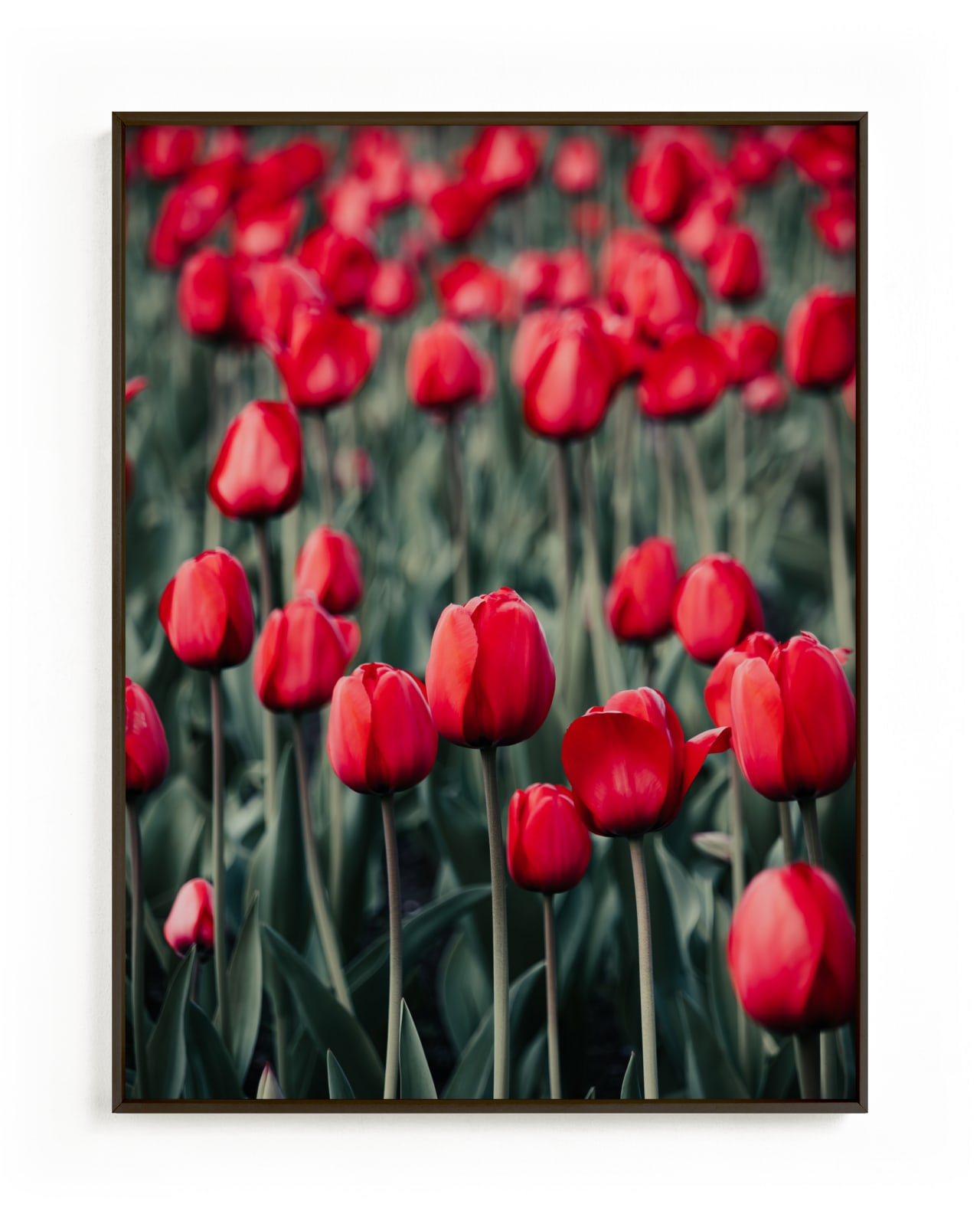 "Red Tulips" - Limited Edition Art Print by Lucila Naves in beautiful frame options and a variety of sizes.