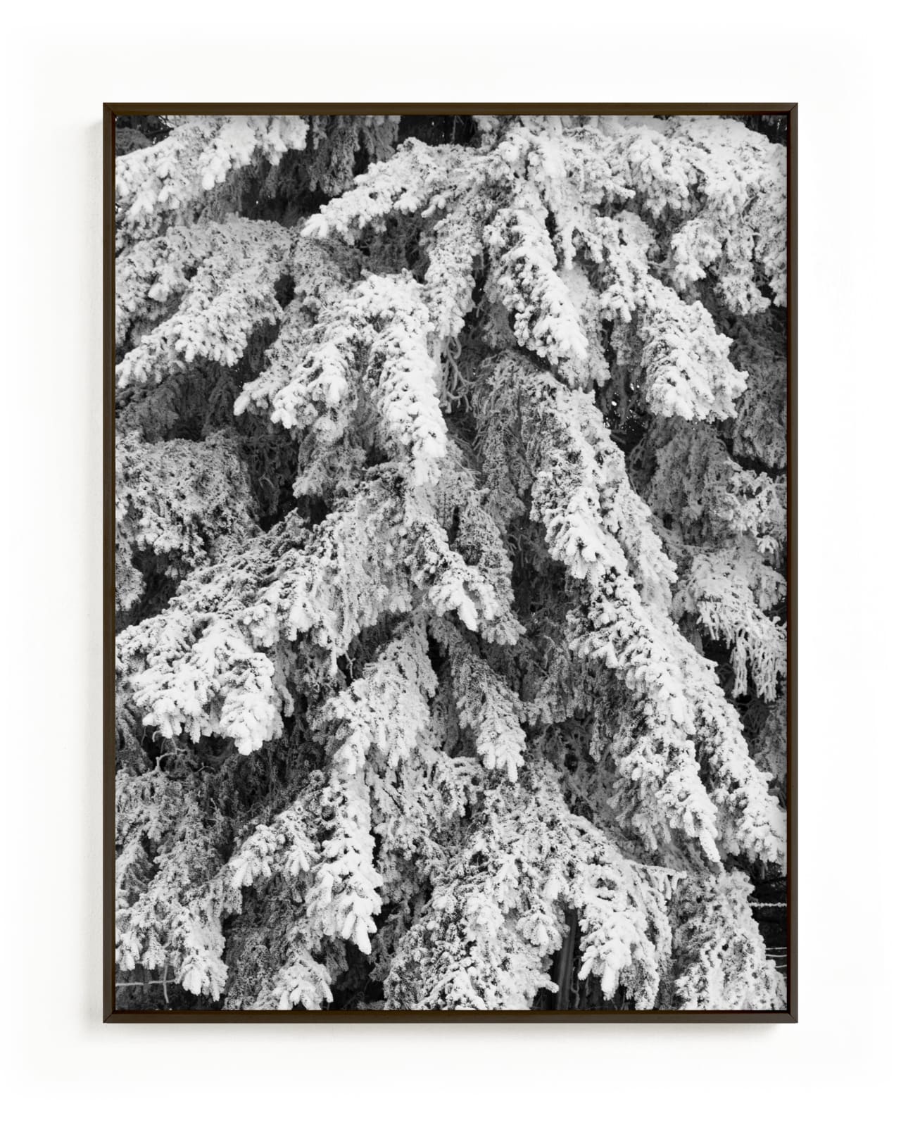 "Frost 3" - Limited Edition Art Print by Ardell McLennan in beautiful frame options and a variety of sizes.