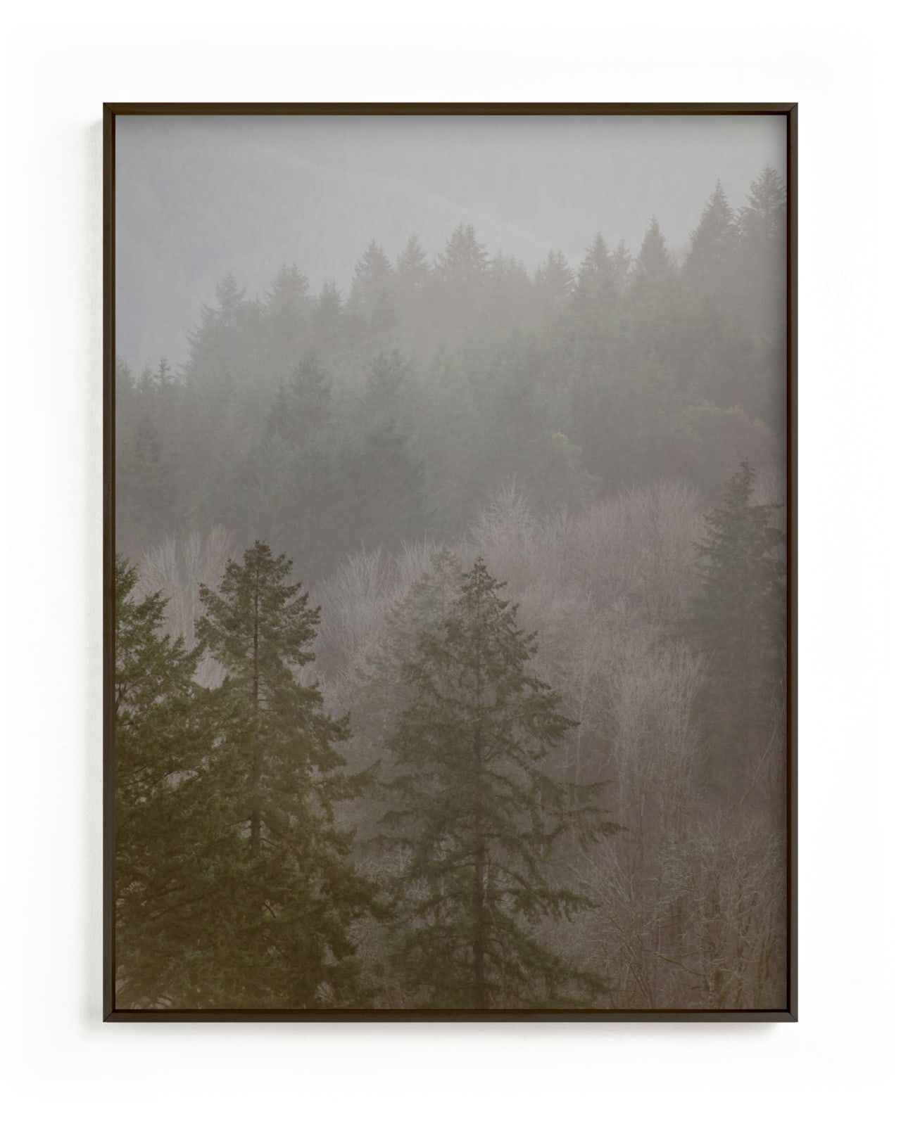 "Pine forest" - Limited Edition Art Print by Crystal Lynn Collins in beautiful frame options and a variety of sizes.