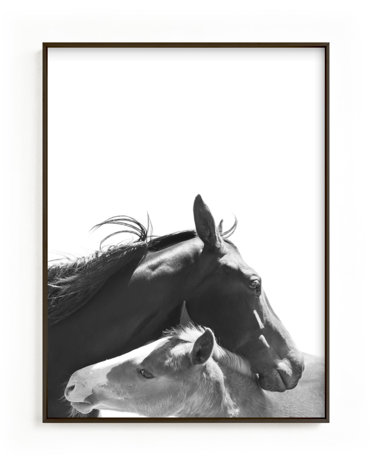 "Foal" by Anne Ciotola in beautiful frame options and a variety of sizes.
