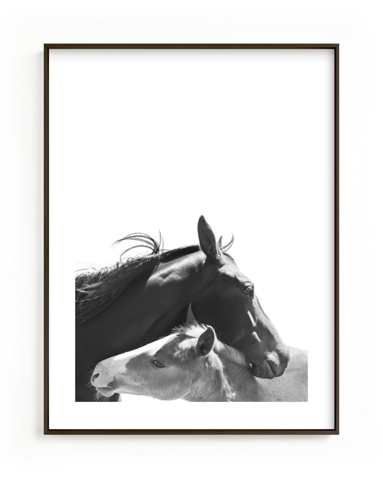 "Foal" by Anne Ciotola in beautiful frame options and a variety of sizes.