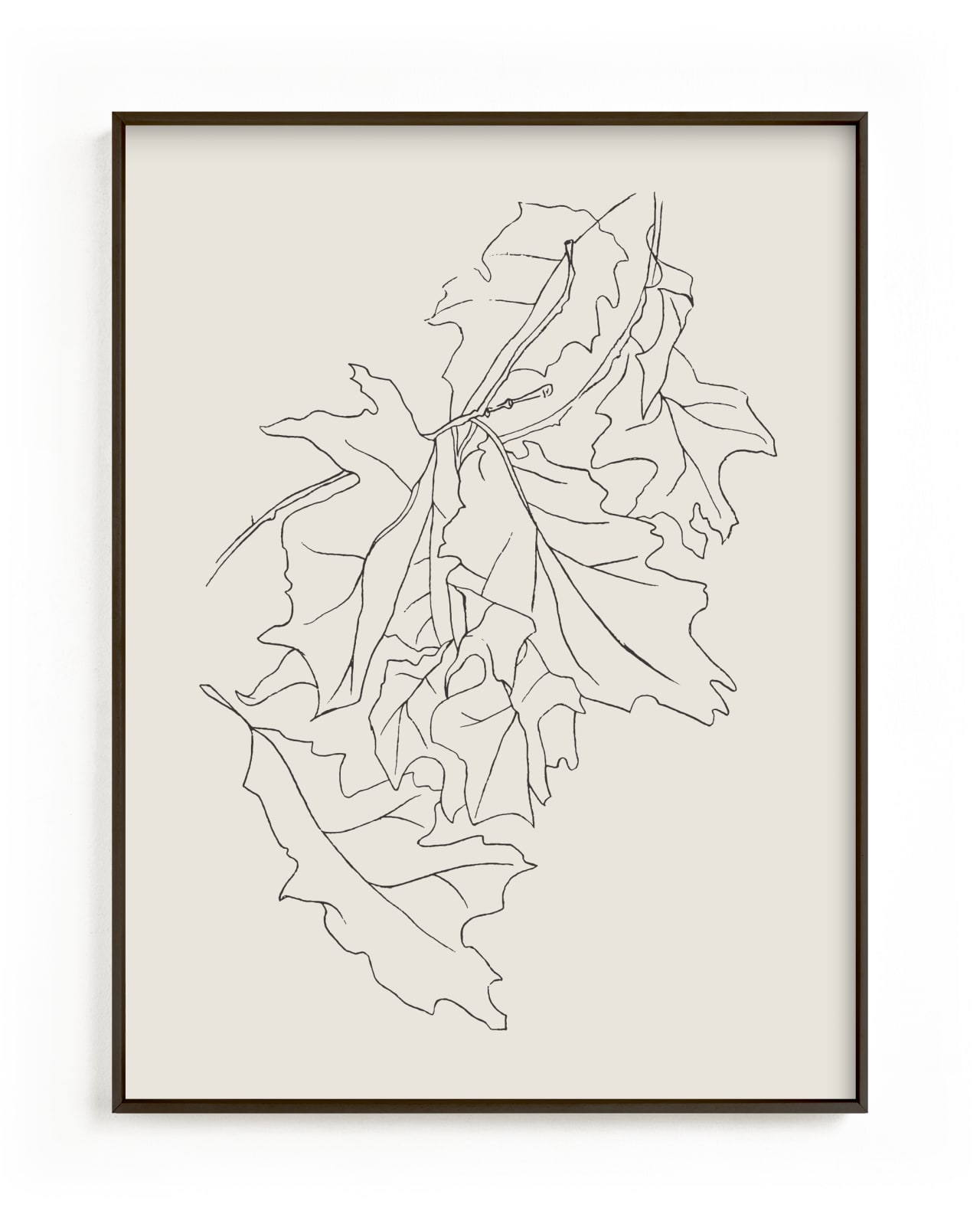 "Oak Leaf Study" - Art Print by Lorent and Leif in beautiful frame options and a variety of sizes.