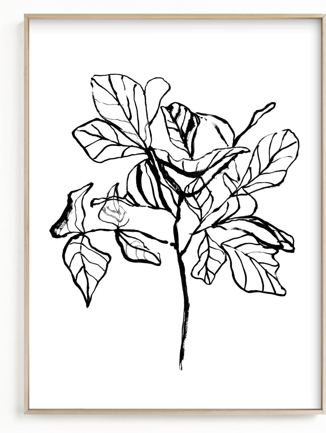 This is a black and white art by Cass Loh called Fiddle-leaf fig tree 2.