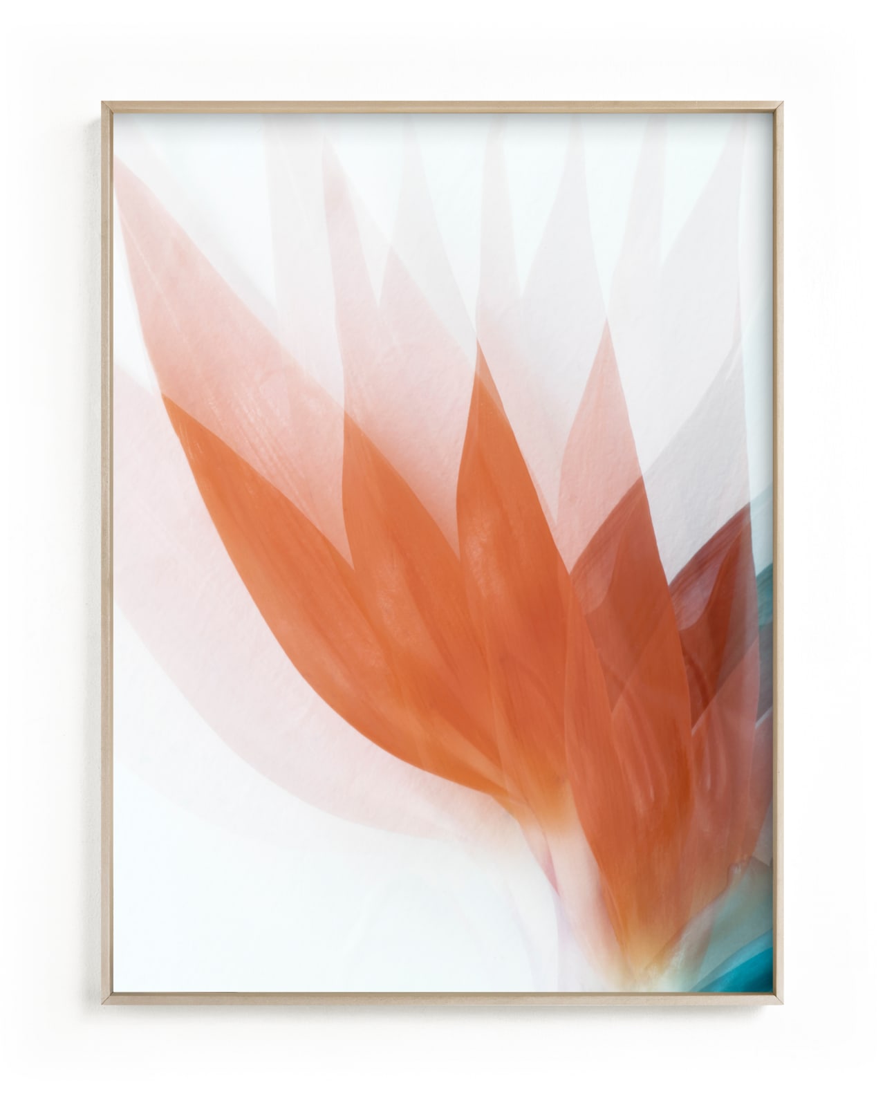 "California Darling" - Limited Edition Art Print by Tania Medeiros in beautiful frame options and a variety of sizes.