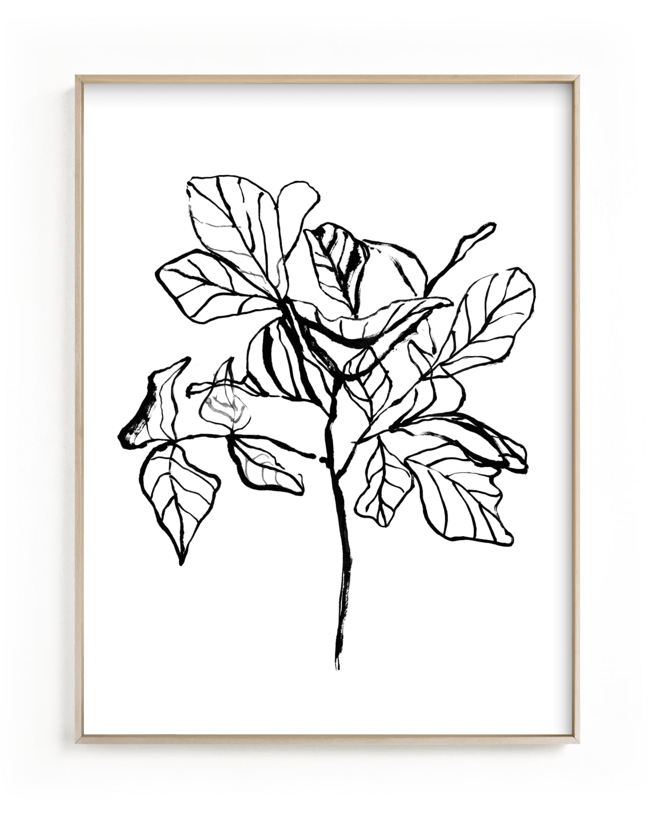 "Fiddle-leaf fig tree 2" - Limited Edition Art Print by Cass Loh in beautiful frame options and a variety of sizes.