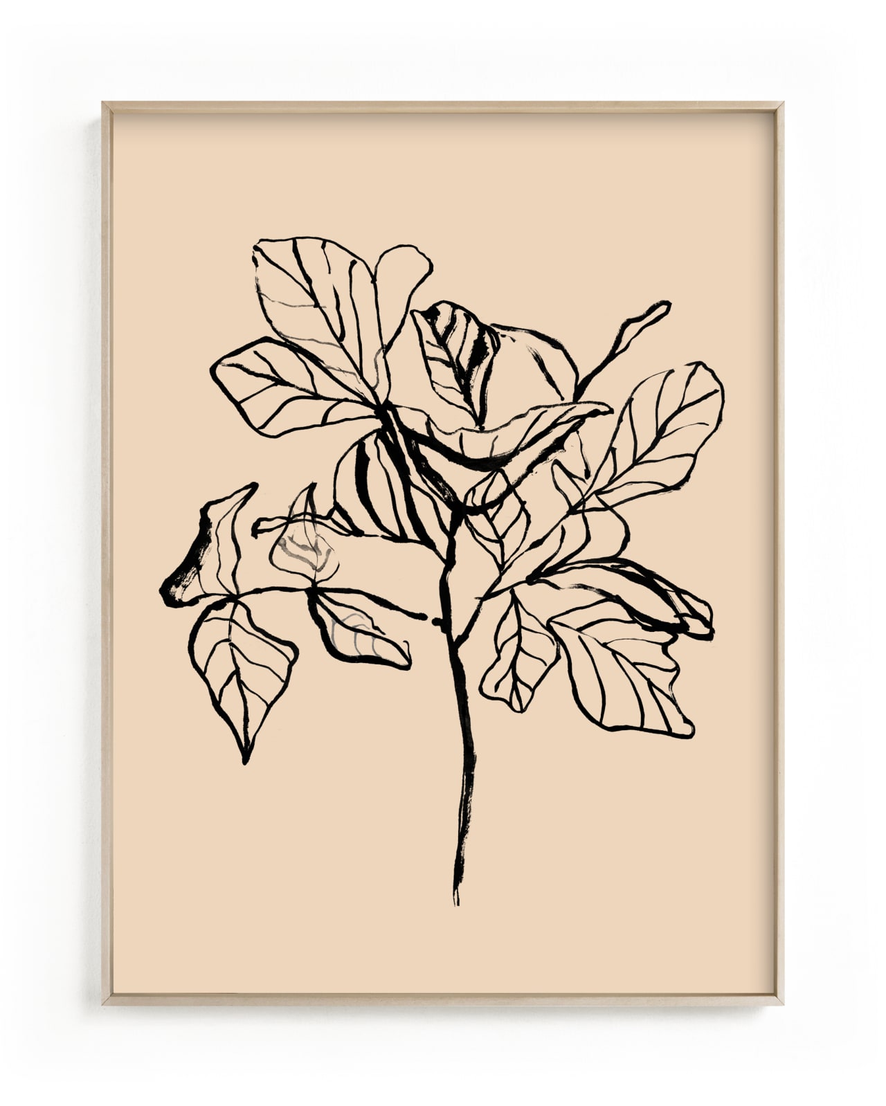"Fiddle-leaf fig tree 2" - Limited Edition Art Print by Cass Loh in beautiful frame options and a variety of sizes.