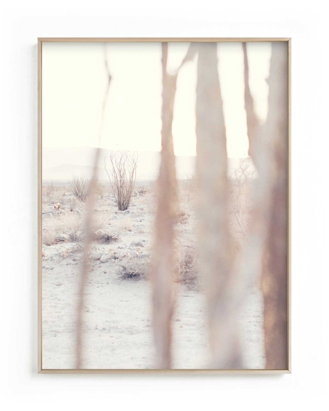 "Ocotillo IV" - Art Print by Kamala Nahas in beautiful frame options and a variety of sizes.