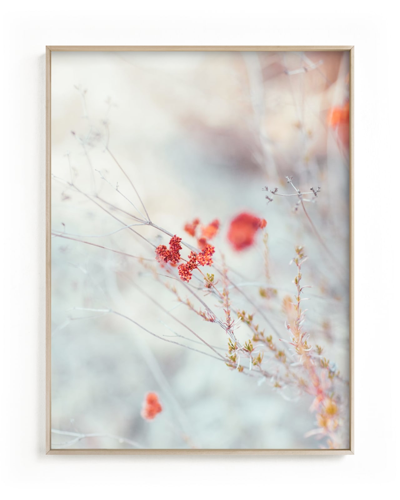 "Native Wildflowers" by Lindsay Ferraris Photography in beautiful frame options and a variety of sizes.