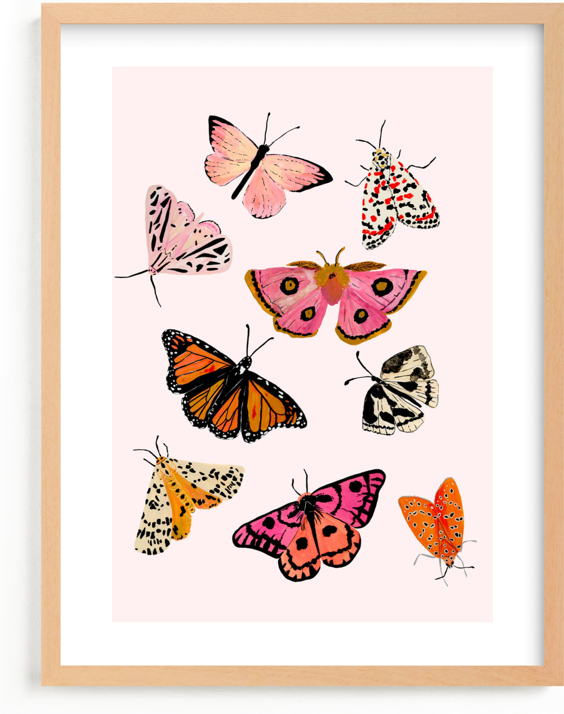 This is a pink, black, orange nursery wall art by Shannon Kirsten called Moths & Butterflies.