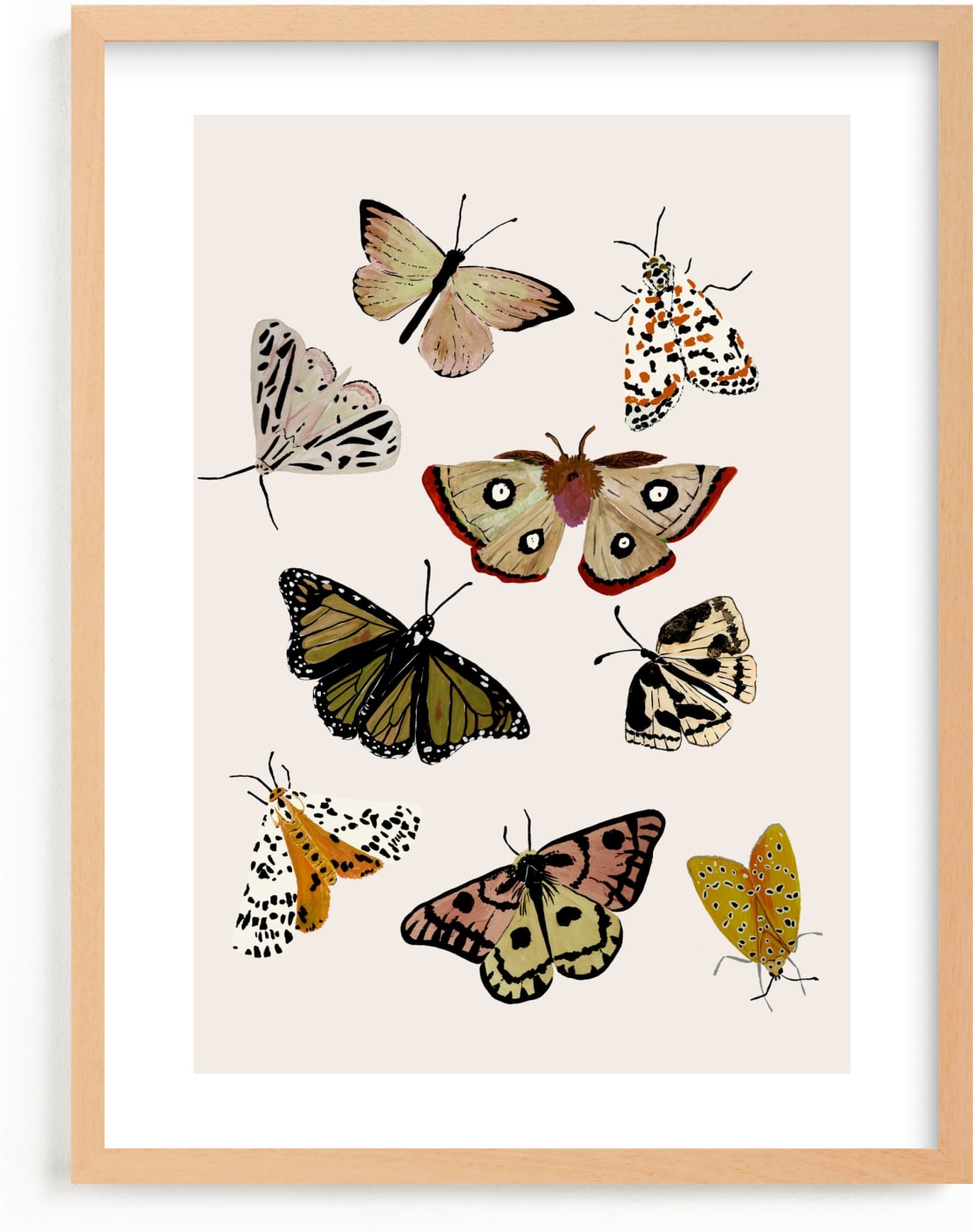 This is a colorful nursery wall art by Shannon Kirsten called Moths & Butterflies.