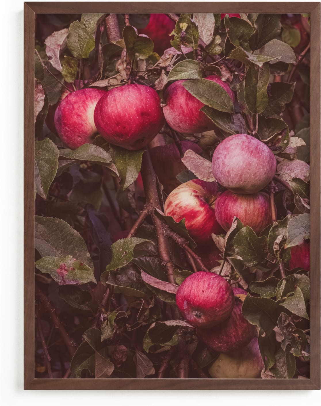 This is a brown art by Justine Bicknell called Apple Season.