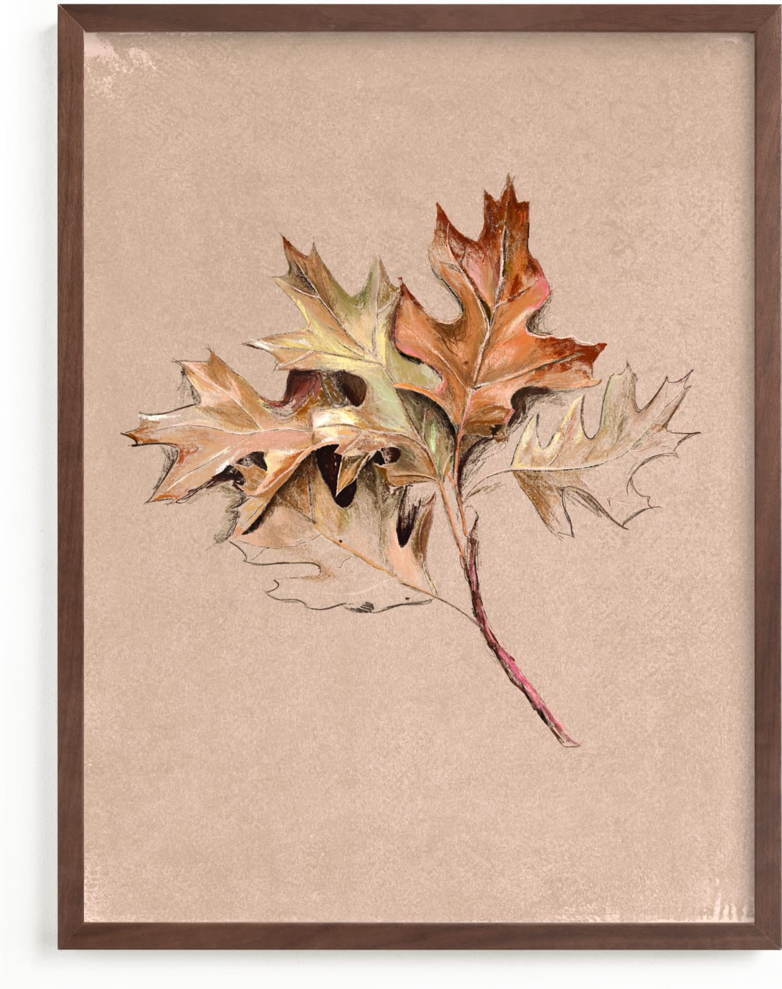 This is a brown, colorful, beige art by Olivia Kanaley Inman called Leaf Study.