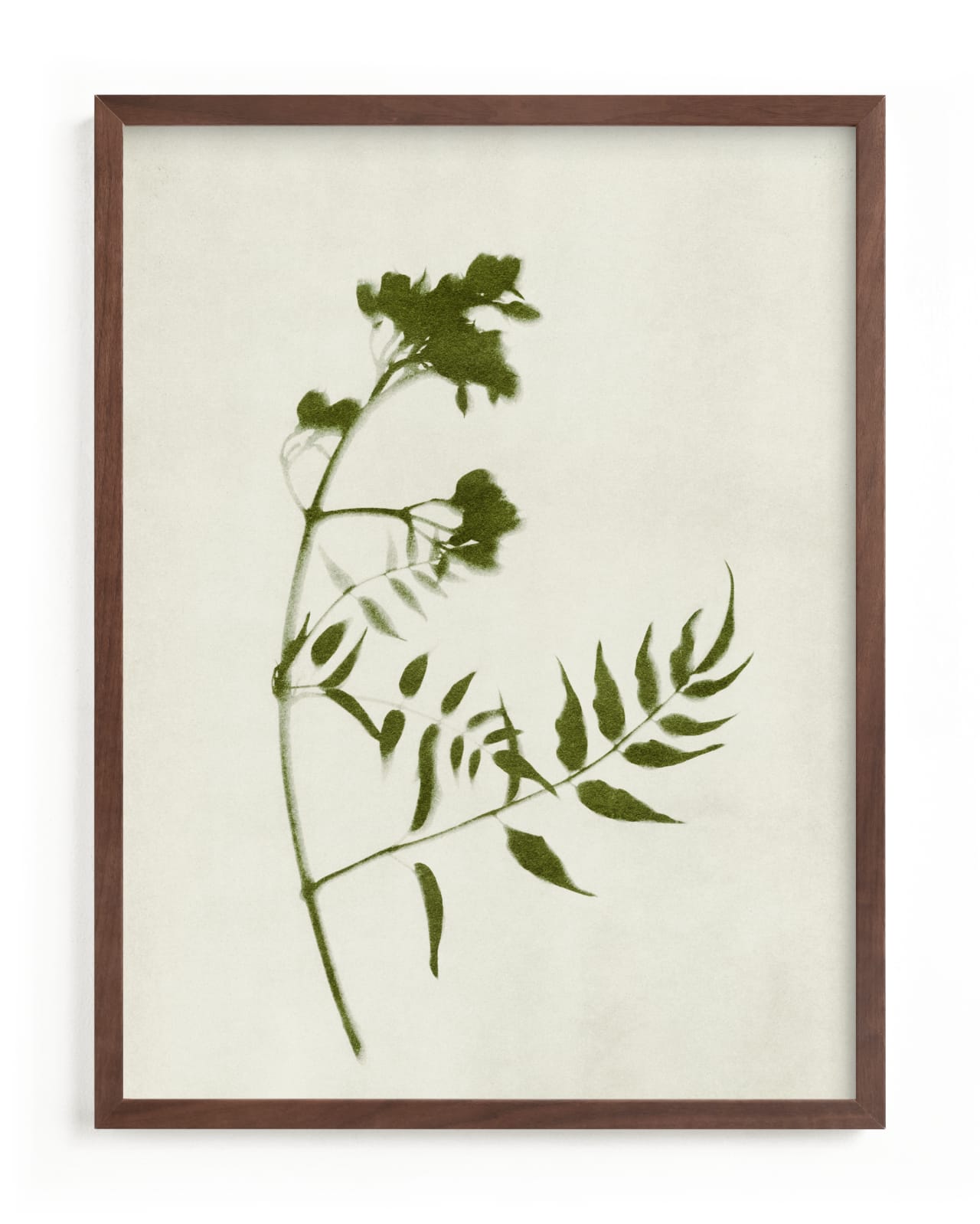 "Foraged I" - Limited Edition Art Print by Kamala Nahas in beautiful frame options and a variety of sizes.