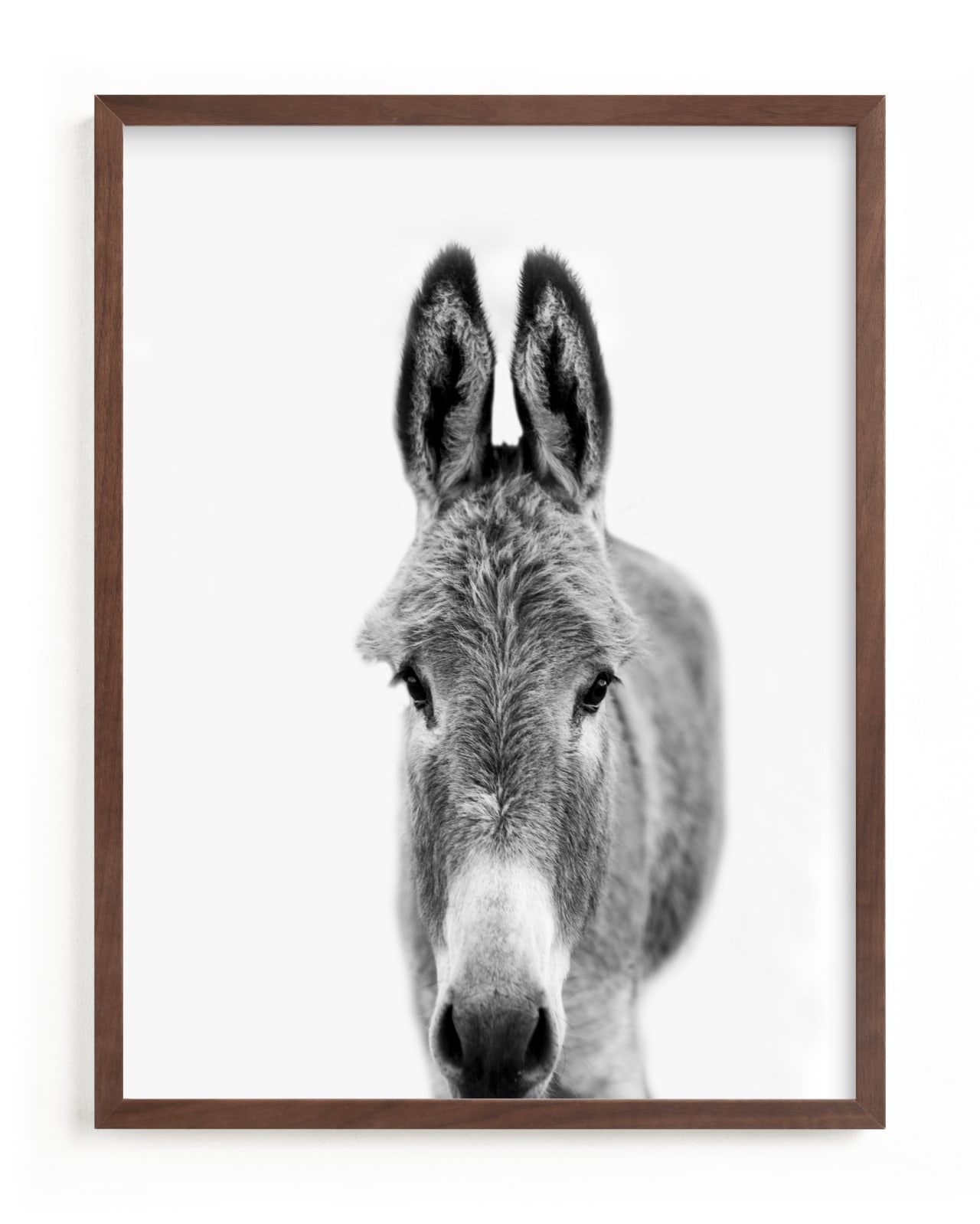 "Sullivan" - Limited Edition Art Print by Jani Blake in beautiful frame options and a variety of sizes.