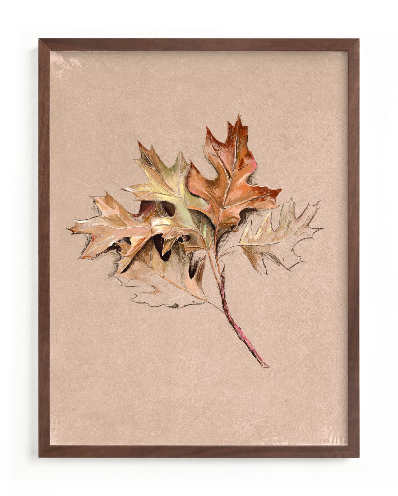 "Leaf Study" - Limited Edition Art Print by Olivia Kanaley Inman in beautiful frame options and a variety of sizes.