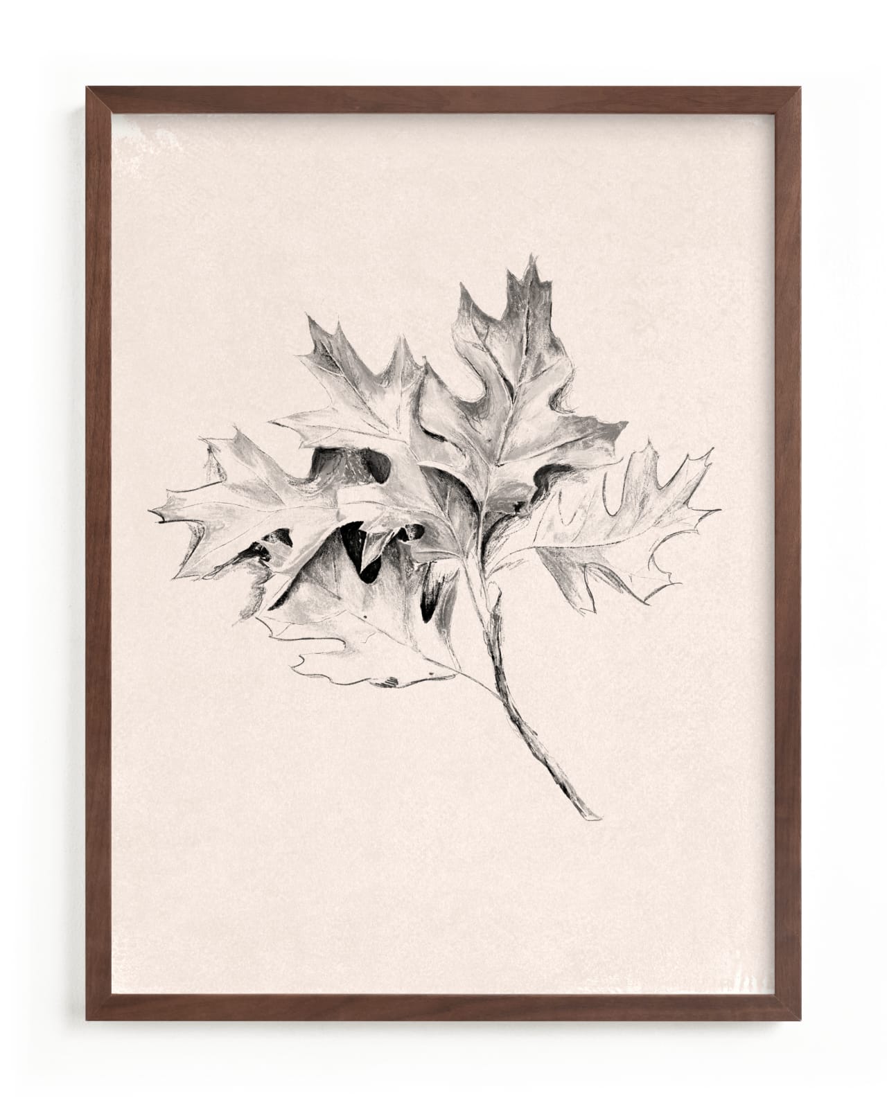 "Leaf Study" - Limited Edition Art Print by Olivia Kanaley Inman in beautiful frame options and a variety of sizes.