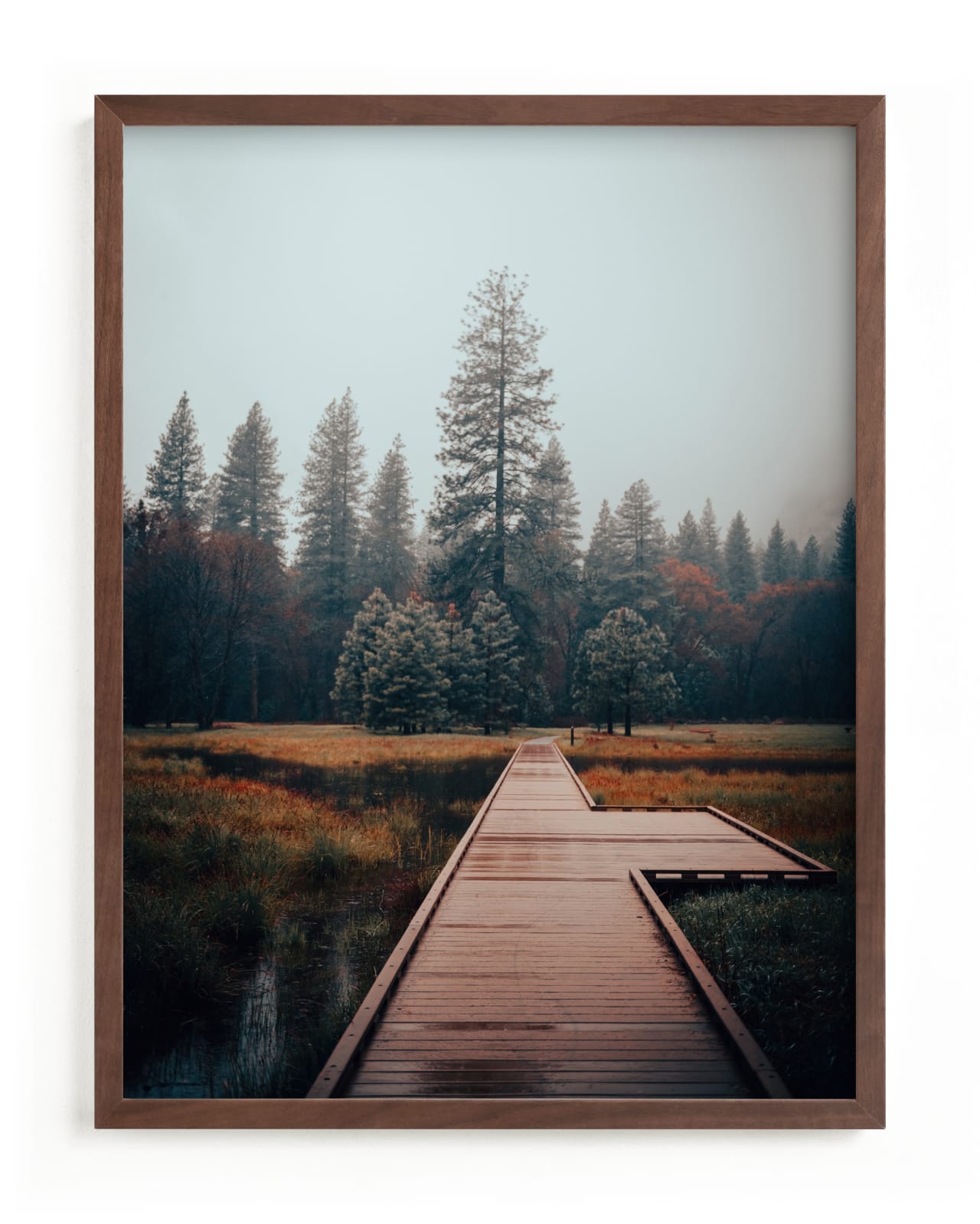 "Misty" - Limited Edition Art Print by Tania Medeiros in beautiful frame options and a variety of sizes.