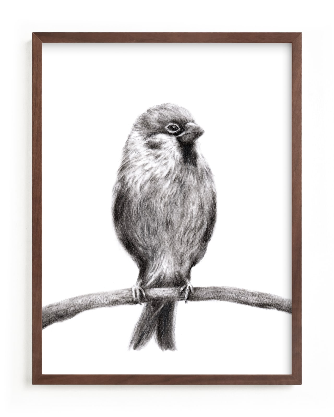 "Little Sparrow" - Limited Edition Art Print by Elly in beautiful frame options and a variety of sizes.