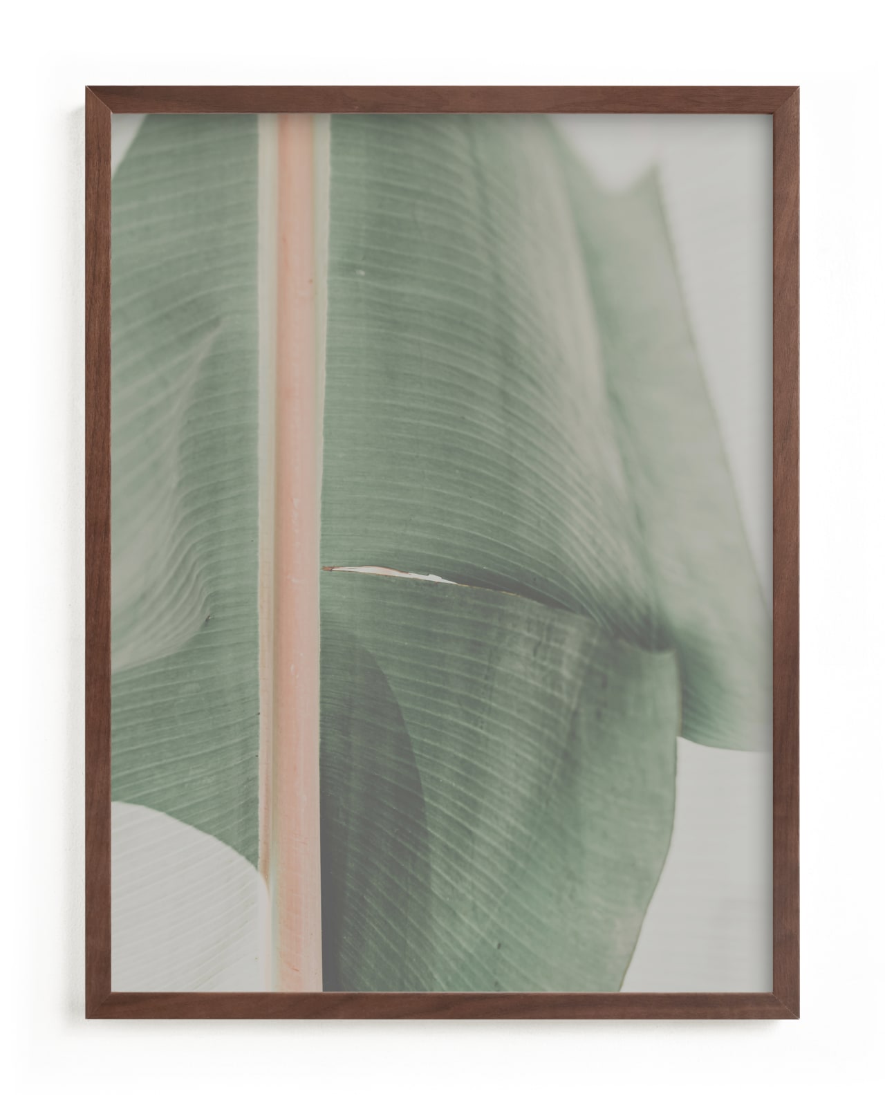 "rainforest leaf" - Limited Edition Art Print by Alicia Abla in beautiful frame options and a variety of sizes.