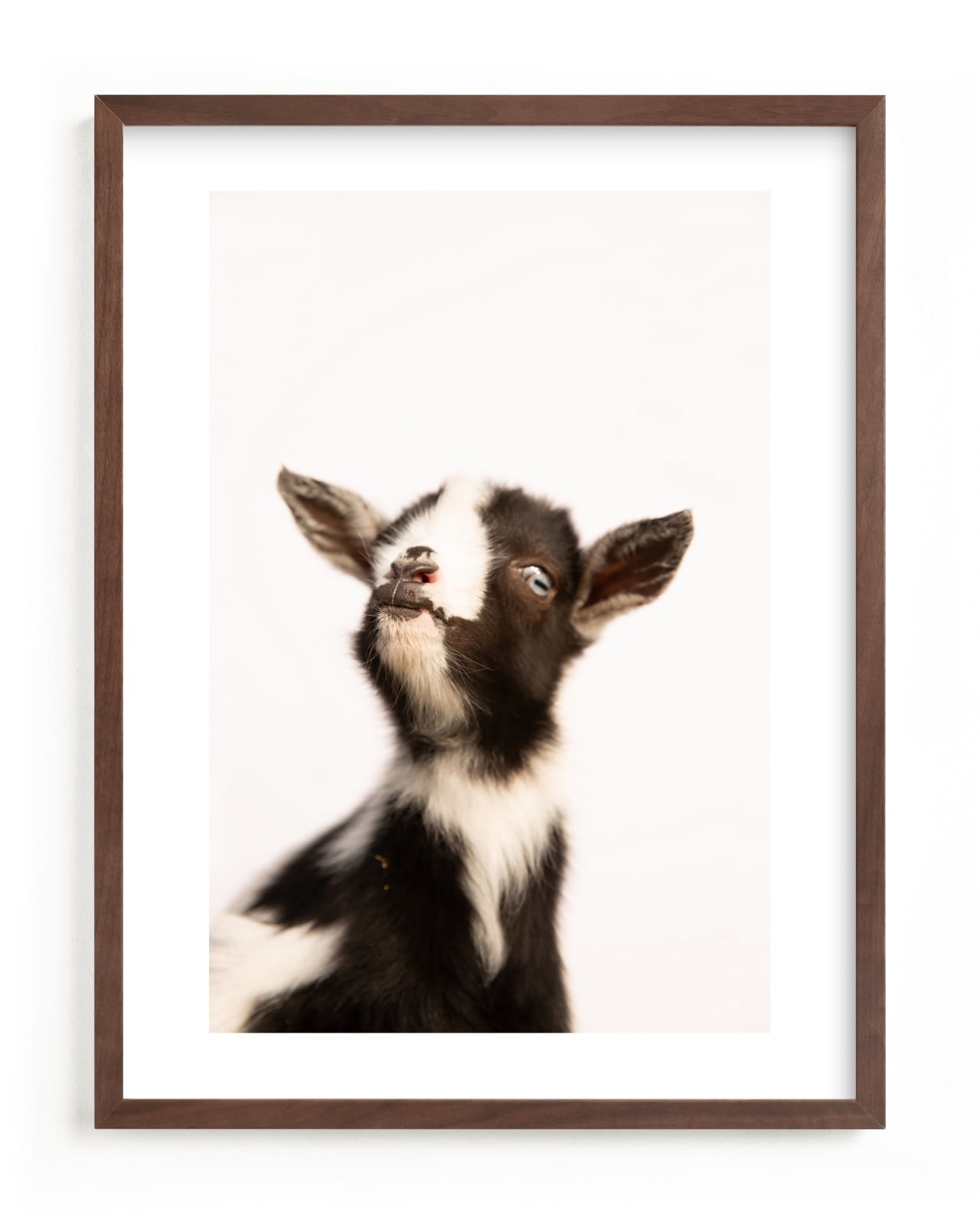 "Ivy" - Limited Edition Art Print by Jani Blake in beautiful frame options and a variety of sizes.