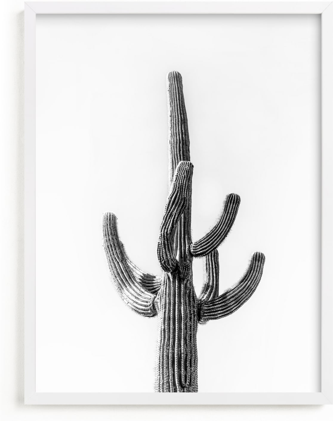 This is a white art by Ellen Schlegelmilch called Lone Cactus.