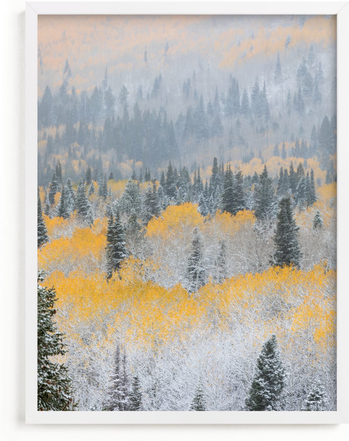 This is a yellow art by Eric Clegg called Autumn Snowfall.