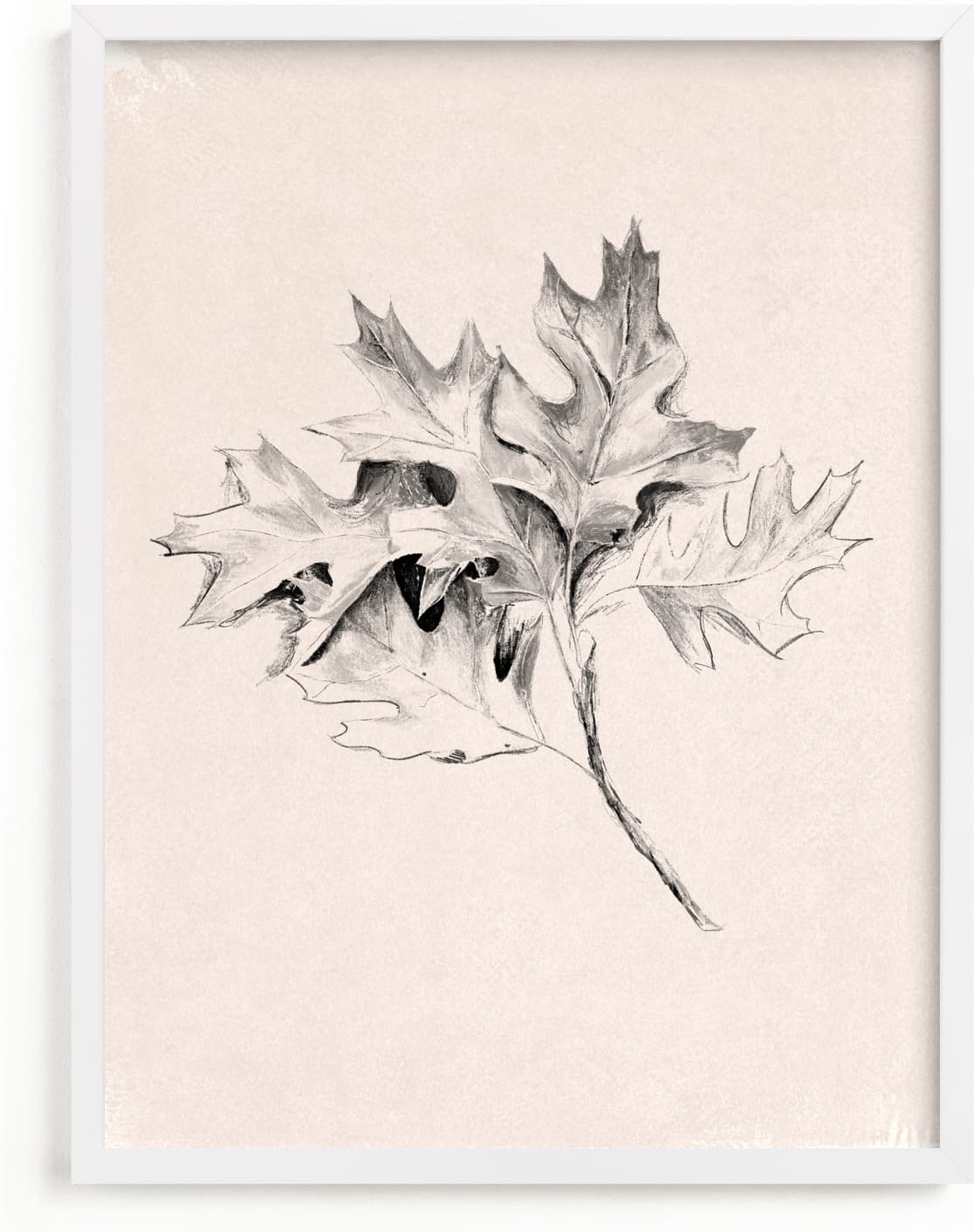 This is a black and white art by Olivia Kanaley Inman called Leaf Study.