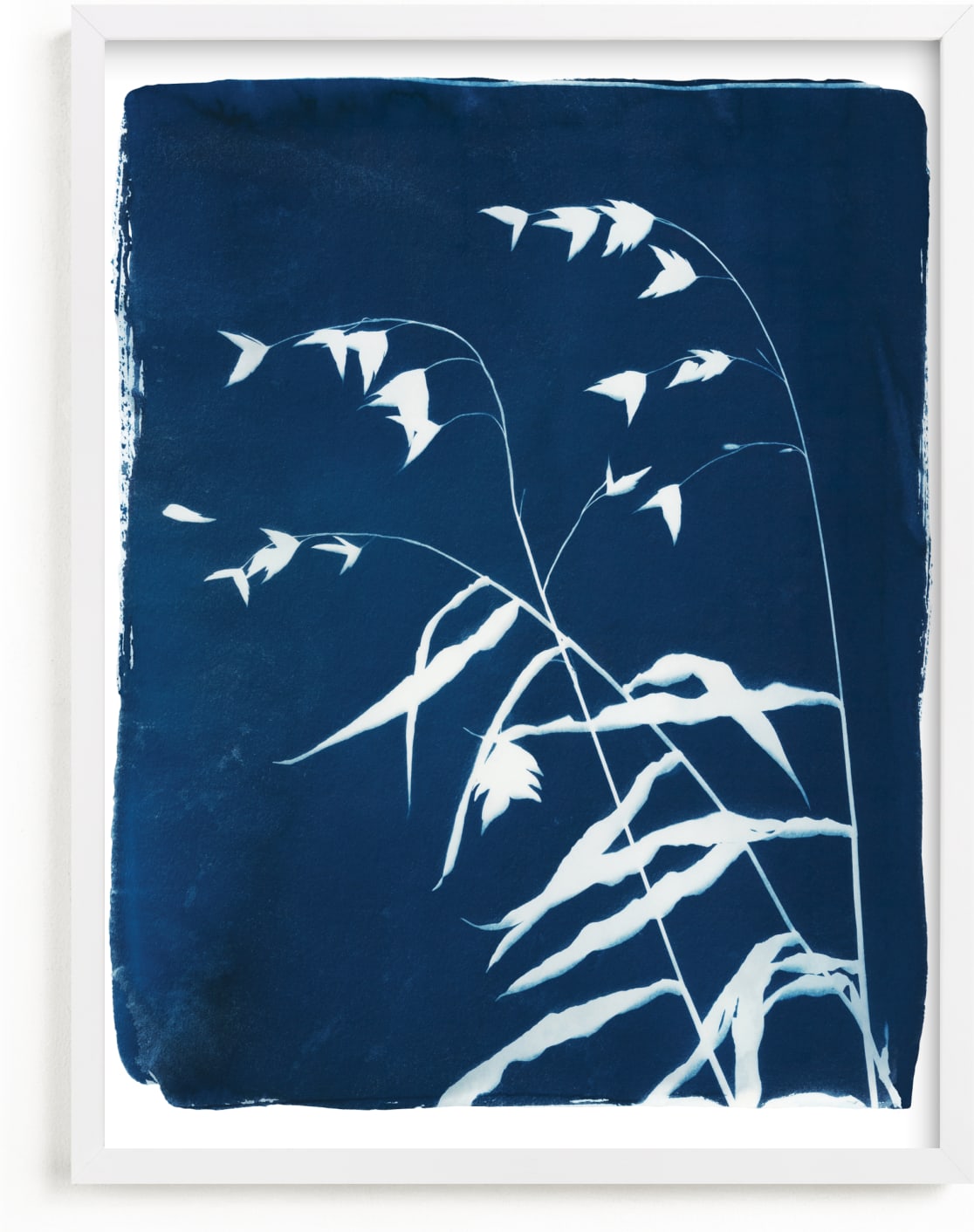 This is a blue art by Renée Stramel called Sea Oats Cyanotype.